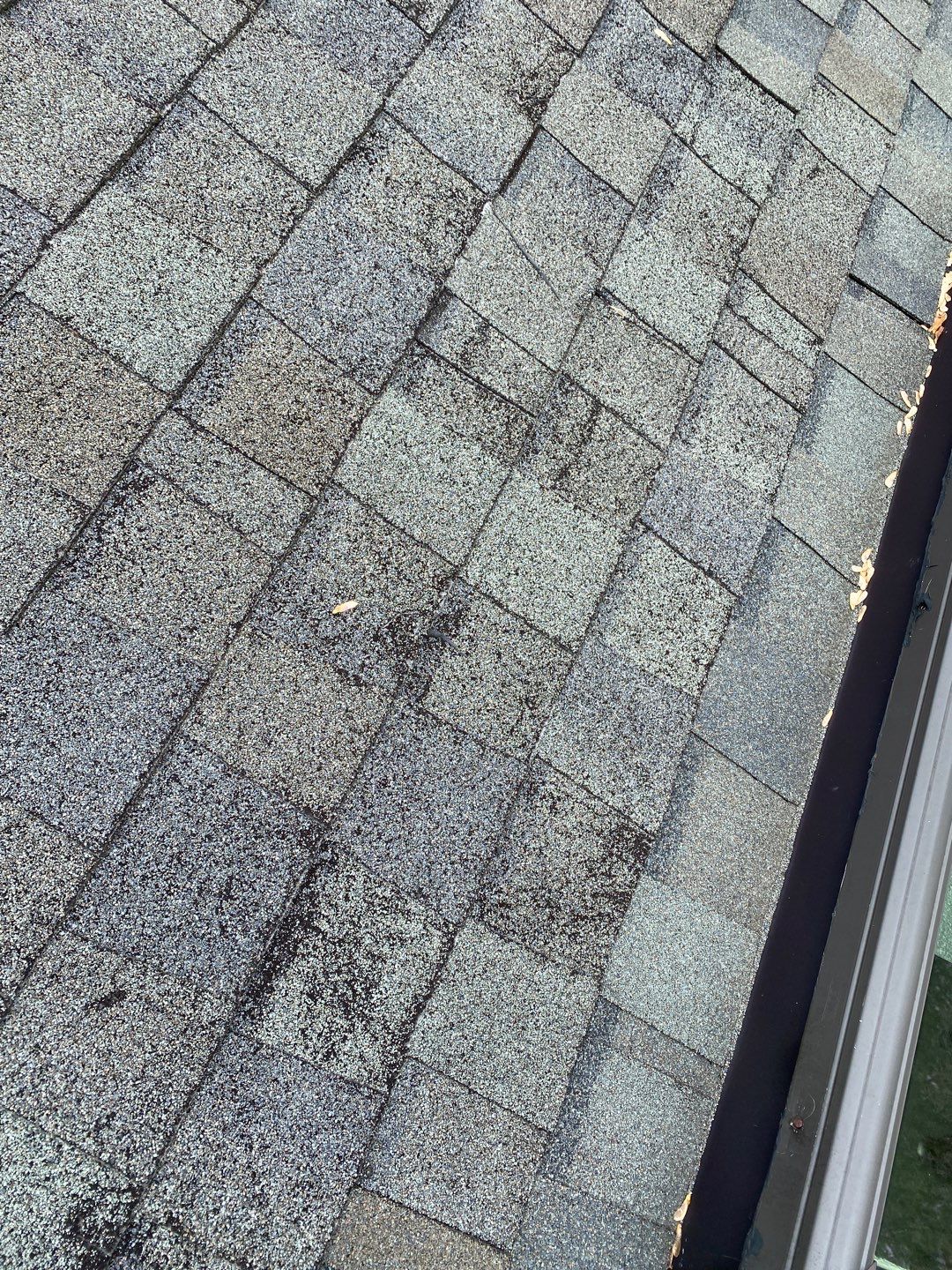 Alexandria: CertainTeed Landmark Pro Designer Shingles in Max Def Colonial Slate by RM Banning, Inc.