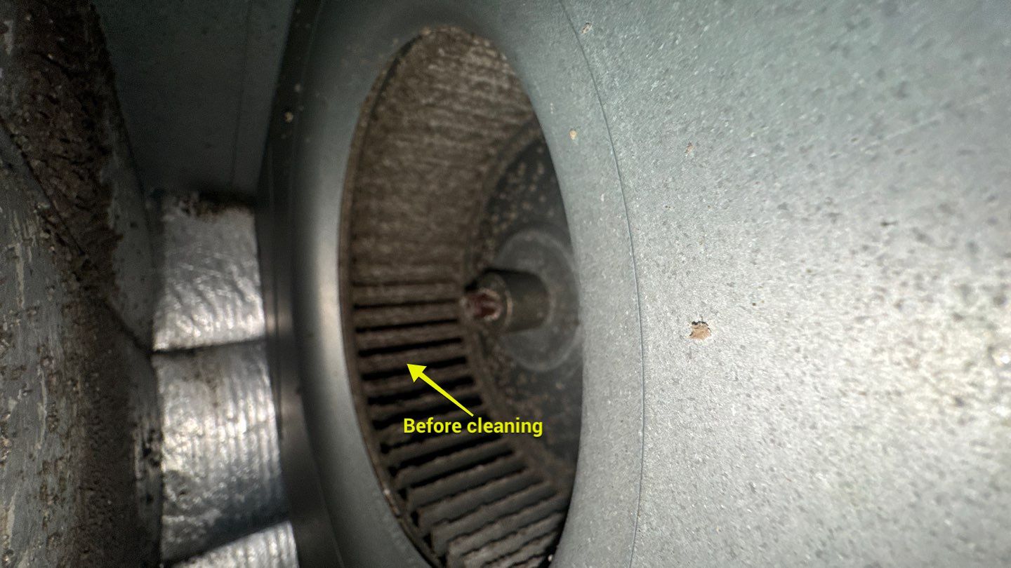 Extremely Dirty Air Duct Cleaning in Fruitland Park by Hygienic Air, Inc