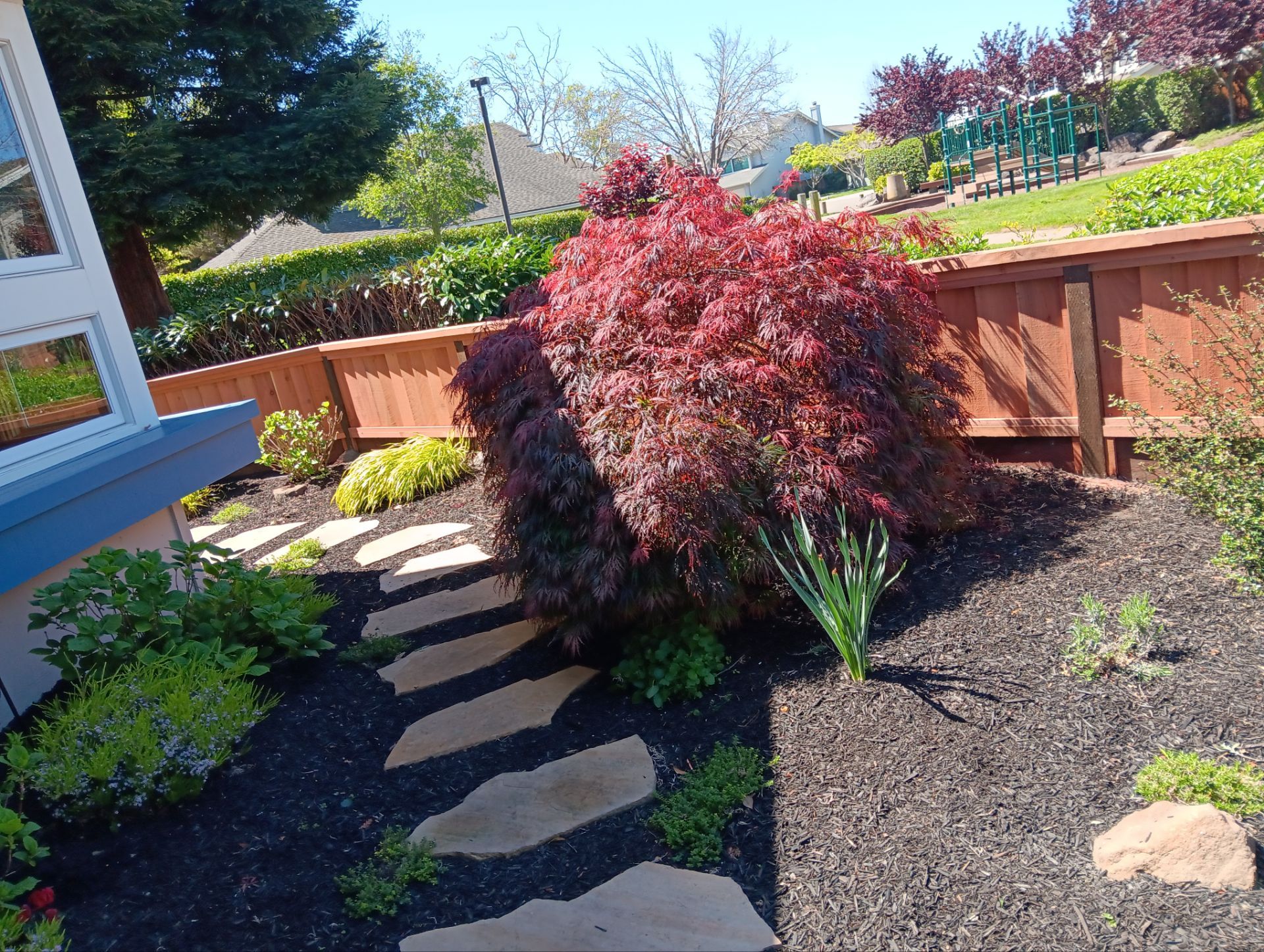 Lap/Louvered Fence with 2x6 Cap by Fremont Fence Inc