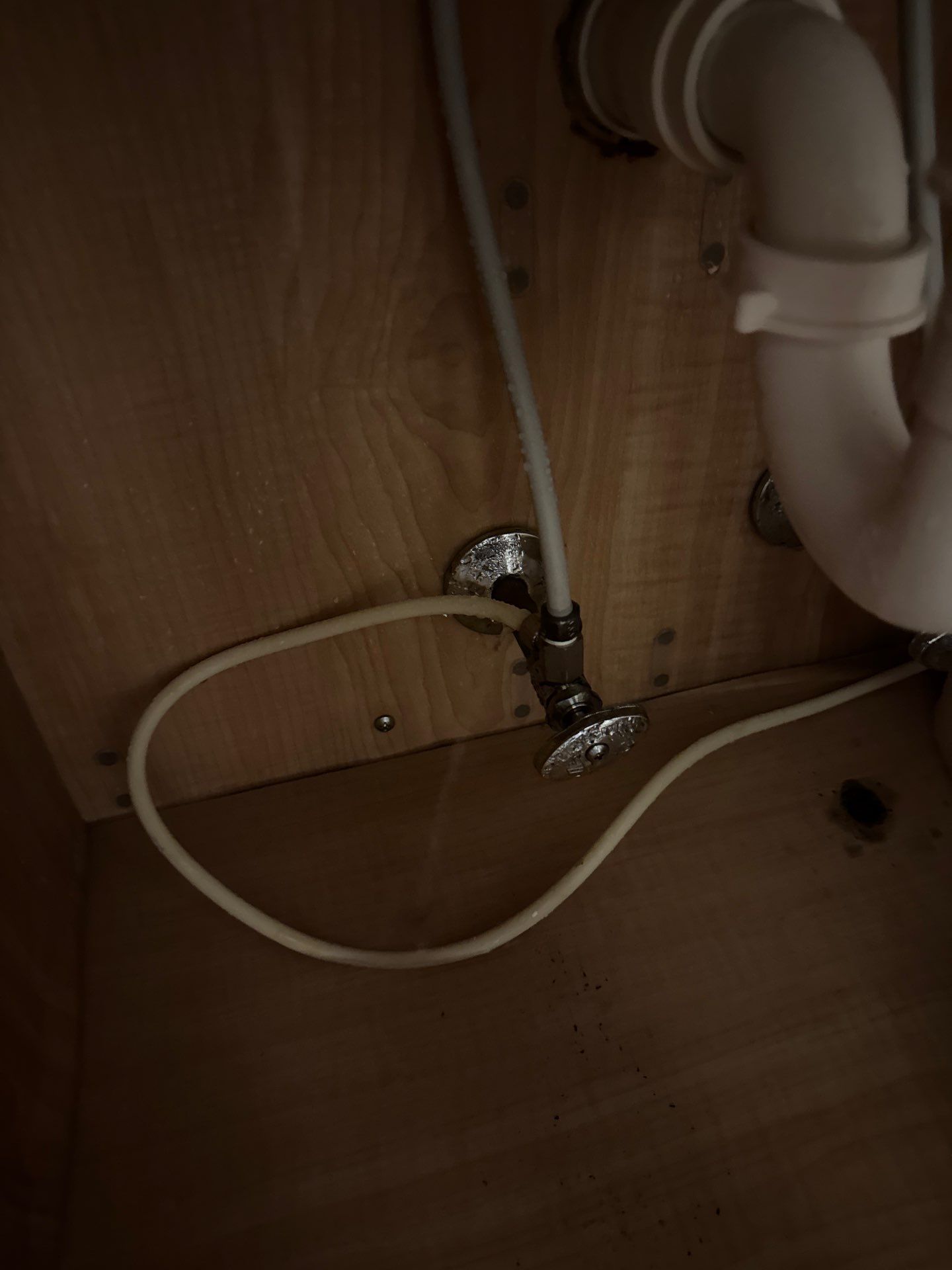 Project in West Bloomfield by EzDry Water Mitigation & Property Restoration