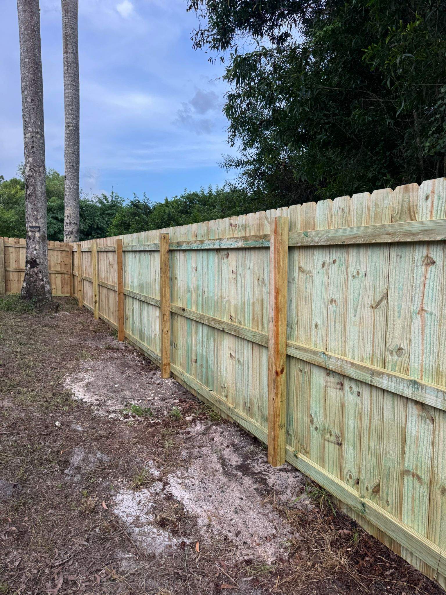 Pressure-Treated Wood Privacy Fence with Dog-Ear Pickets in Lehigh Acres by True Fence LLC