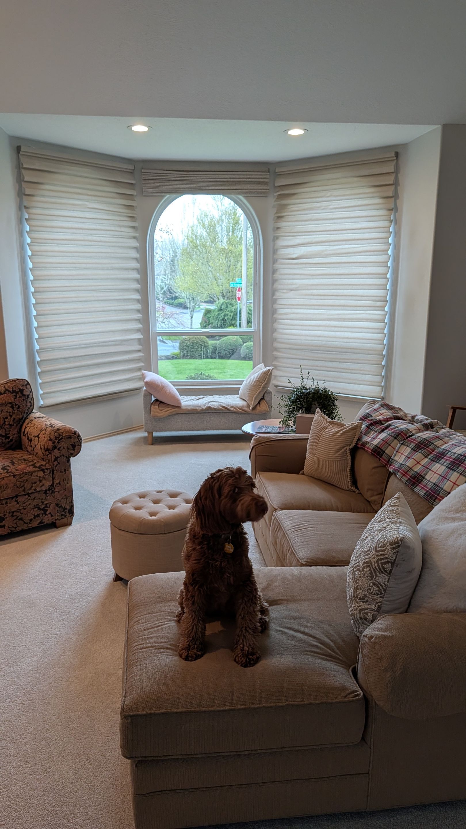 Roman shades in Cedar Hills brightens a view by Budget Blinds Central Portland