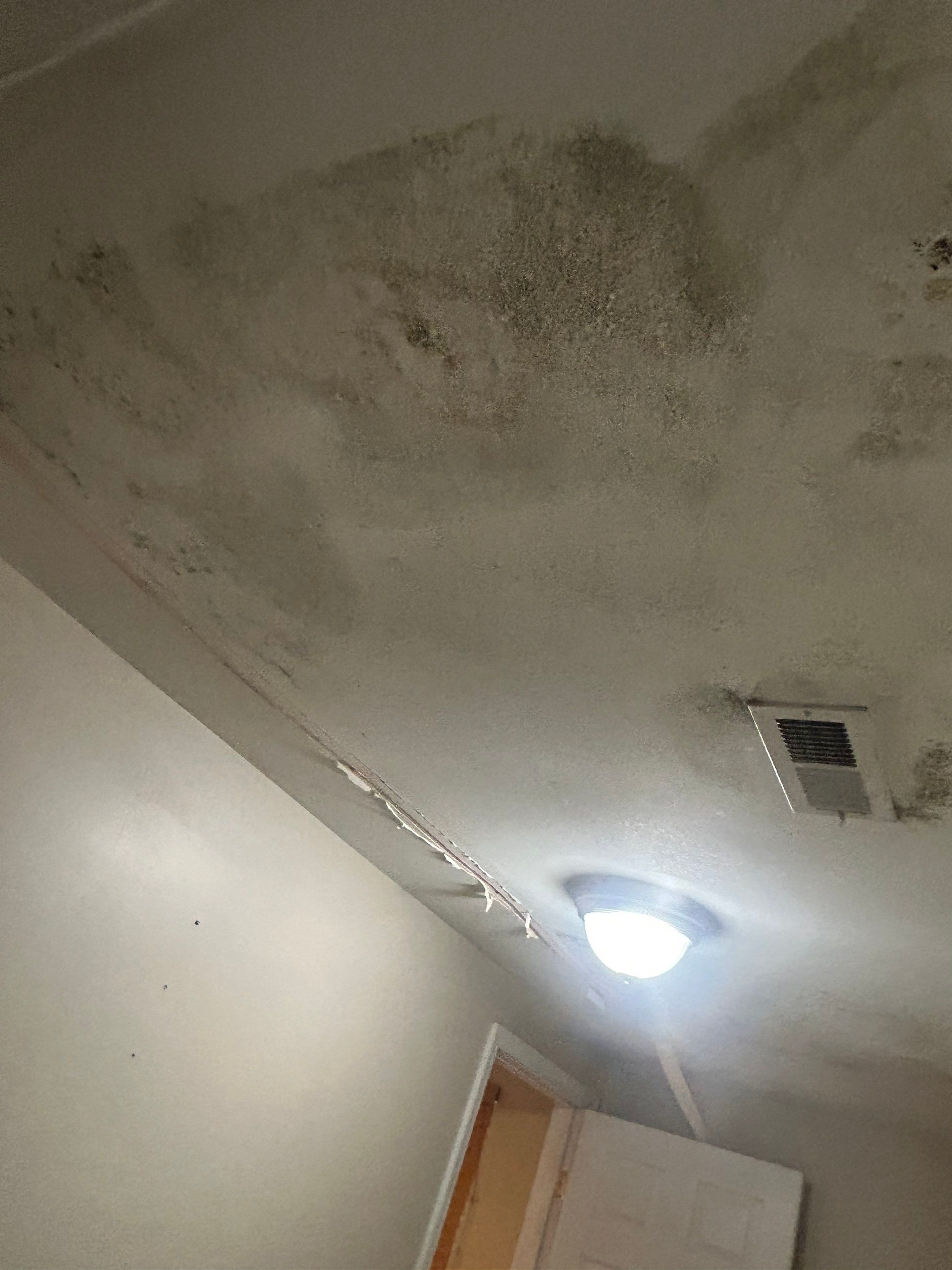 Project in St Leonard by ExteriorPros