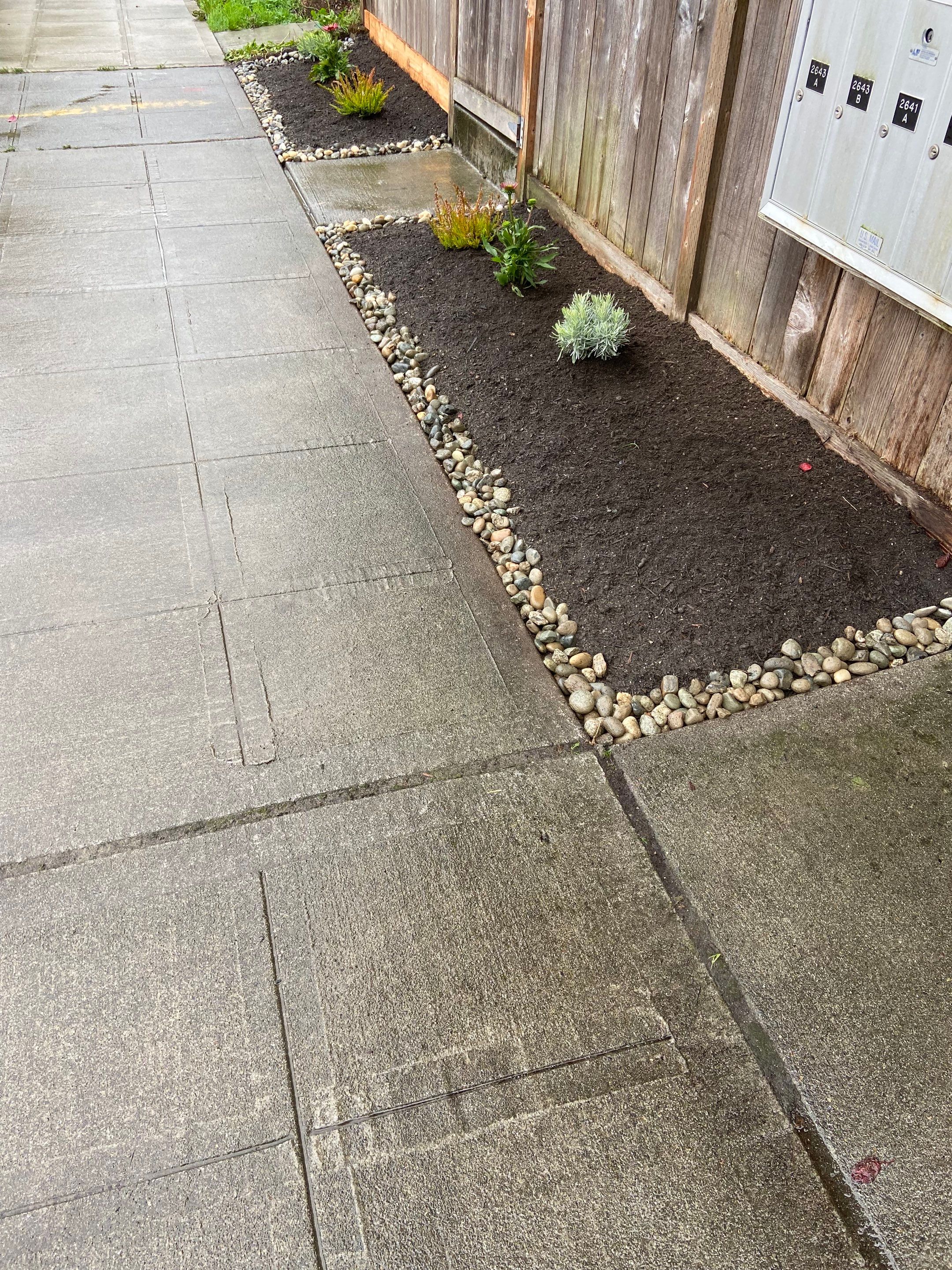 Paver Walkway & Turf Installation | Seattle  by Jireh Asphalt & Concrete Inc 