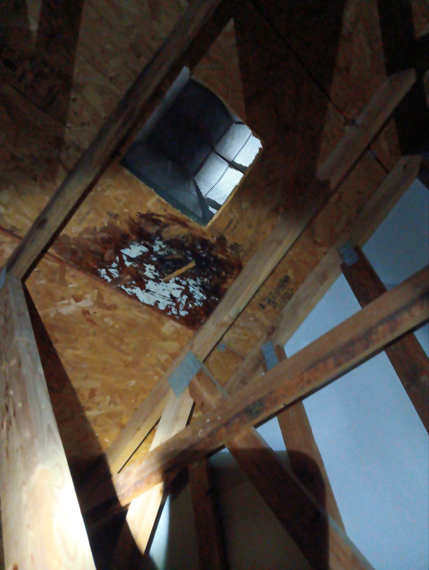 Hail Damage using Owen's Corning Duration (Lifetime) Shingles by Roof Repair Company