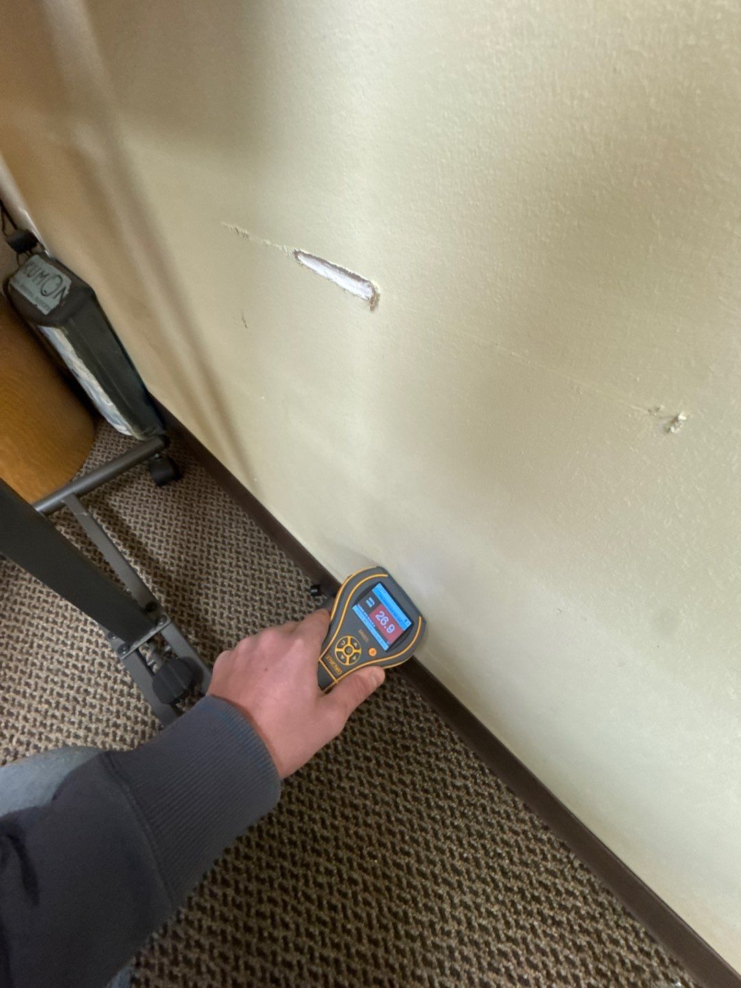 Project in Commerce Twp by EzDry Water Mitigation & Property Restoration