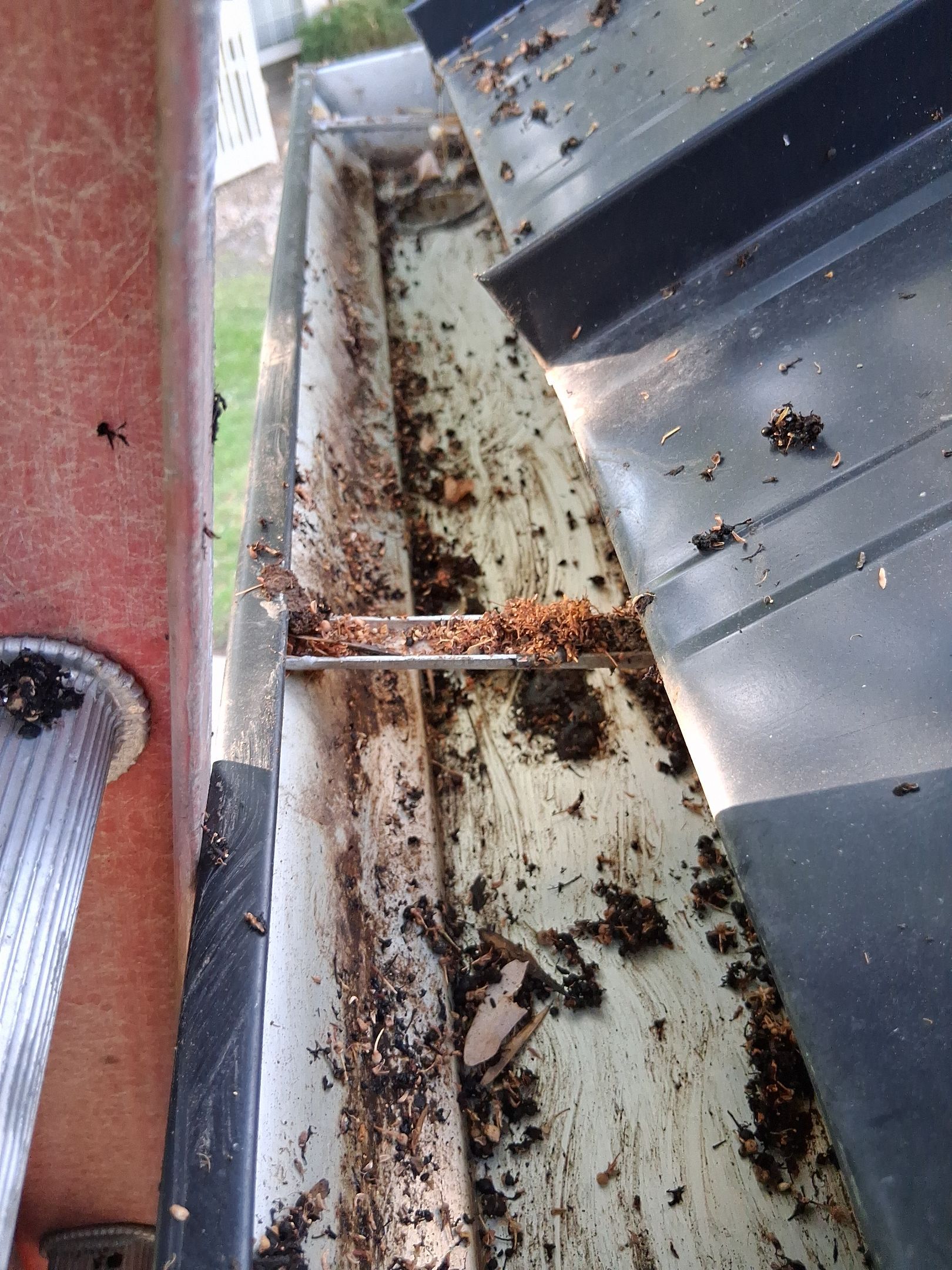 Commercial gutter cleaning Denver, CO after photo with clean gutters