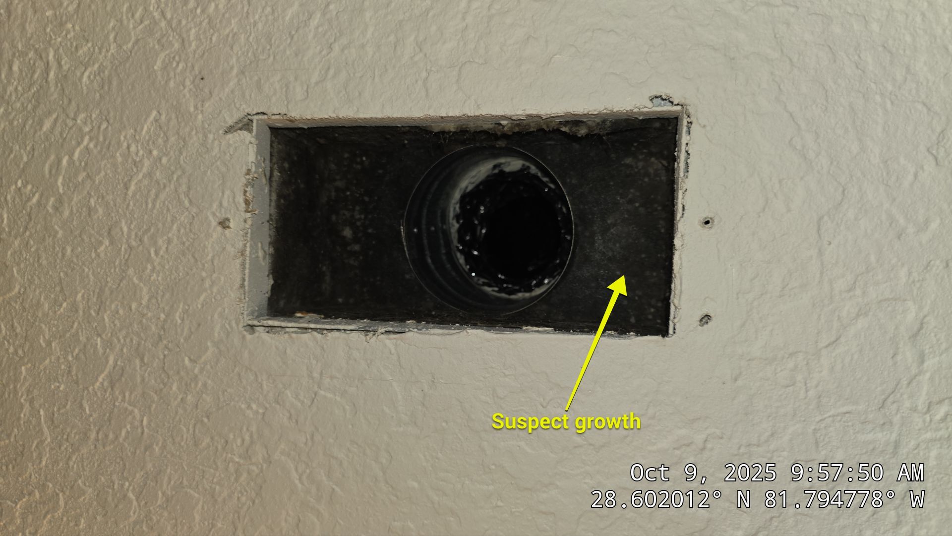 Air Duct and Dryer Vent Cleaning in Groveland by Hygienic Air, Inc