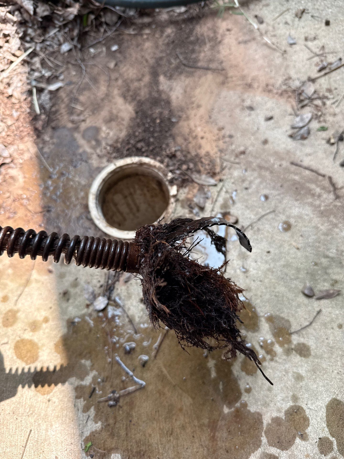 Project in Edmond by PRO-ROOTER