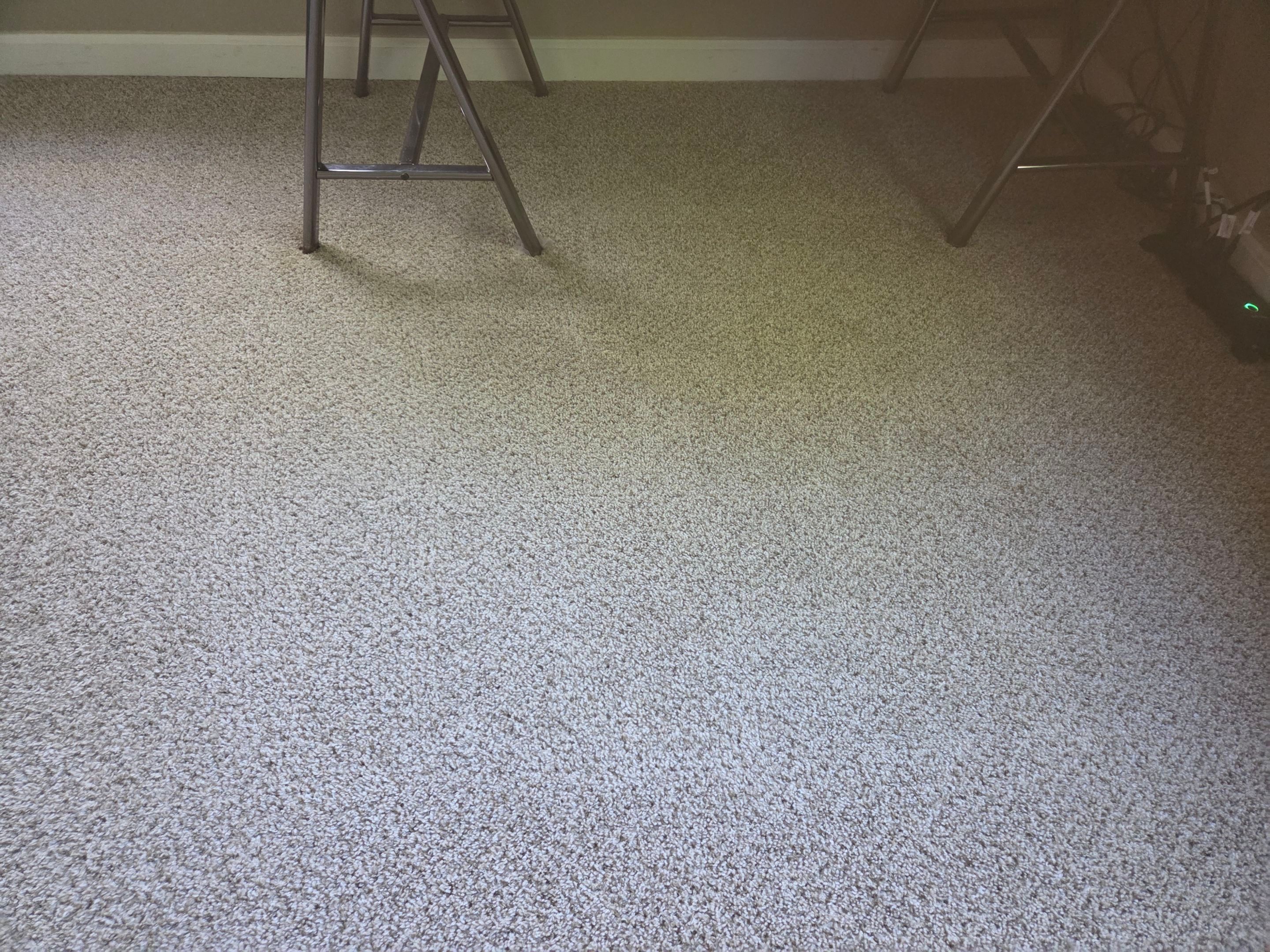 Carpet Cleaning with Stain Removal by Ardent Carpet Restore LLC
