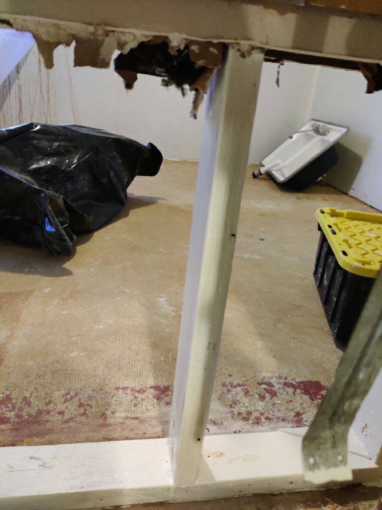 Mold Remediation in Basement by Accountable Home Services