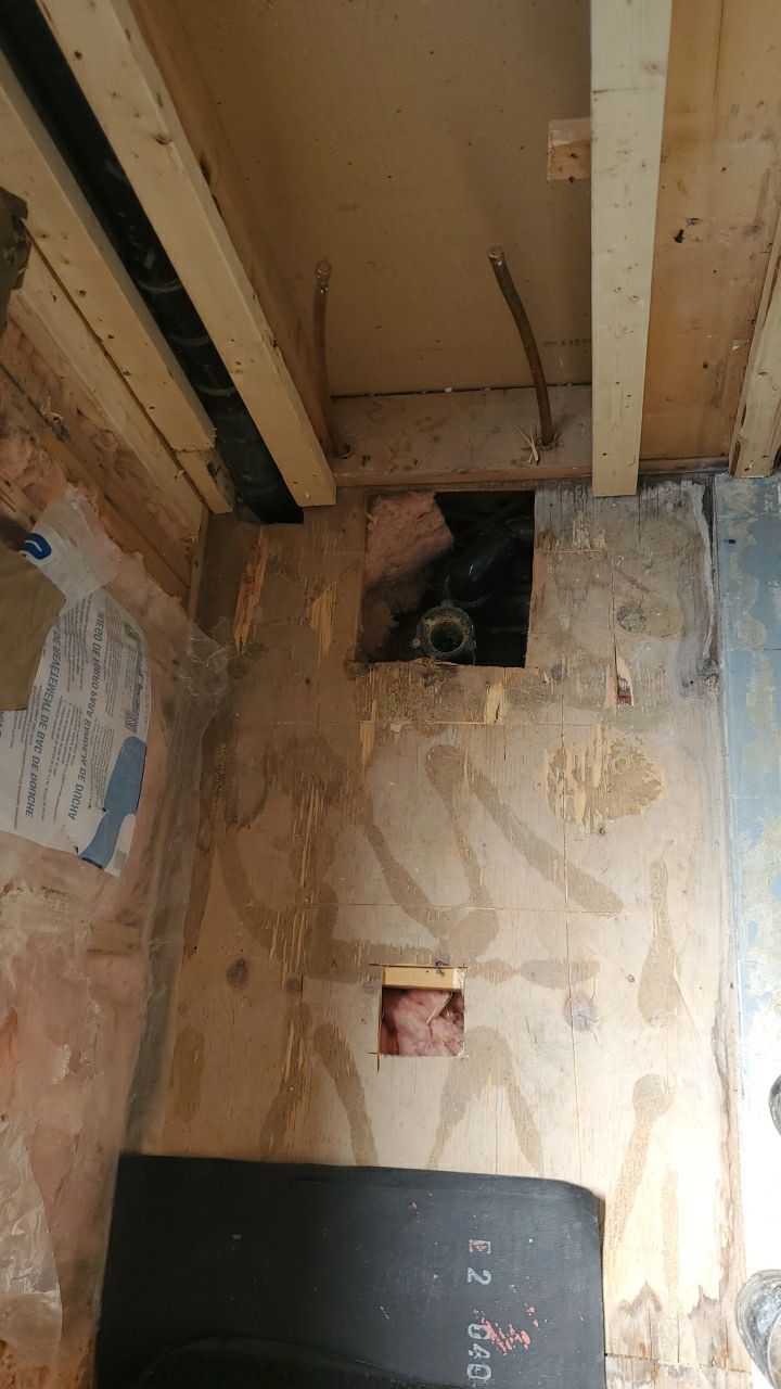 Accessible shower conversion  by Eco-Nature Construction Inc.