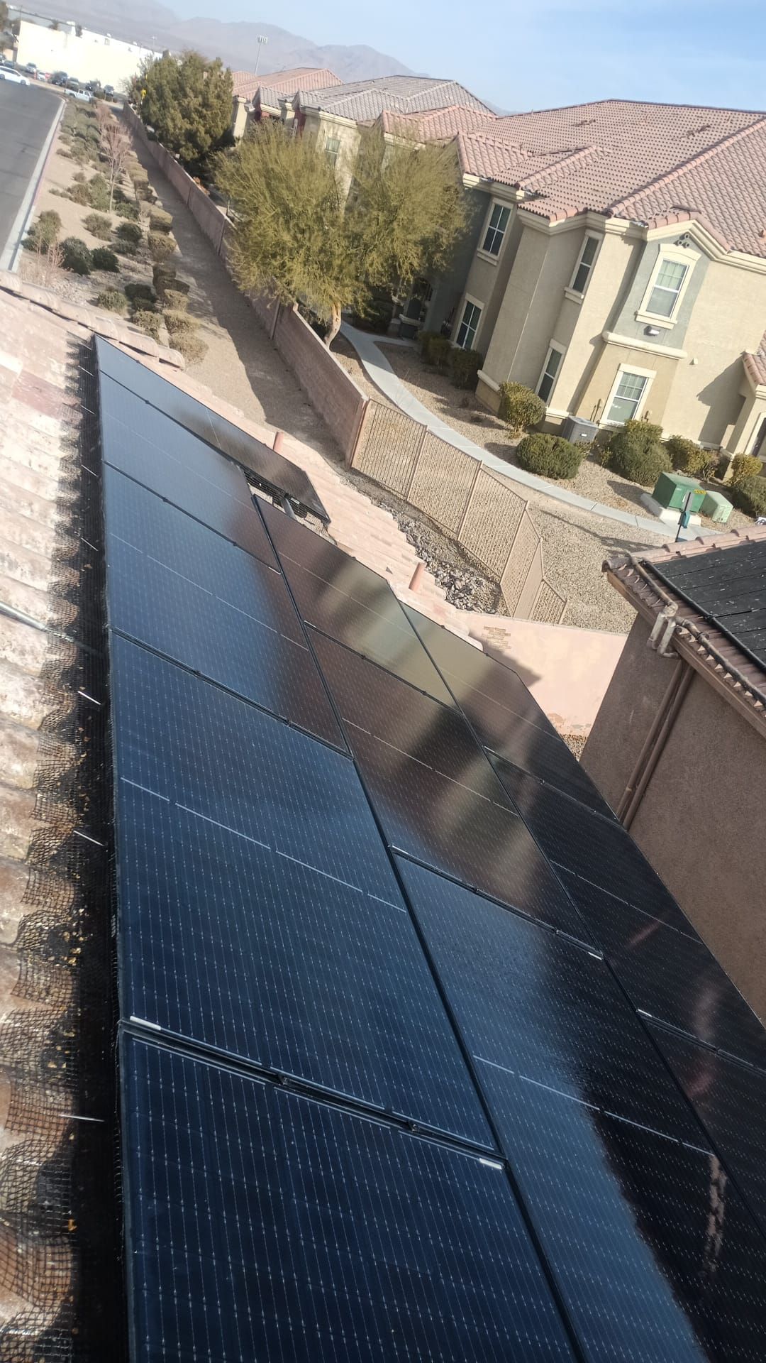 Excessive pigeon problem  by Solar Honest Cleaning 