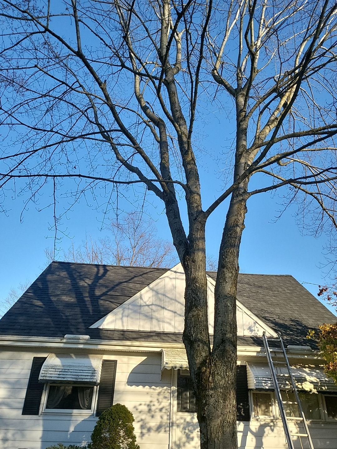 ATLAS PINNACLE COLOR: BLACK SHADOW DRIP EDGE: WHITE by Eagle Eye Roofing