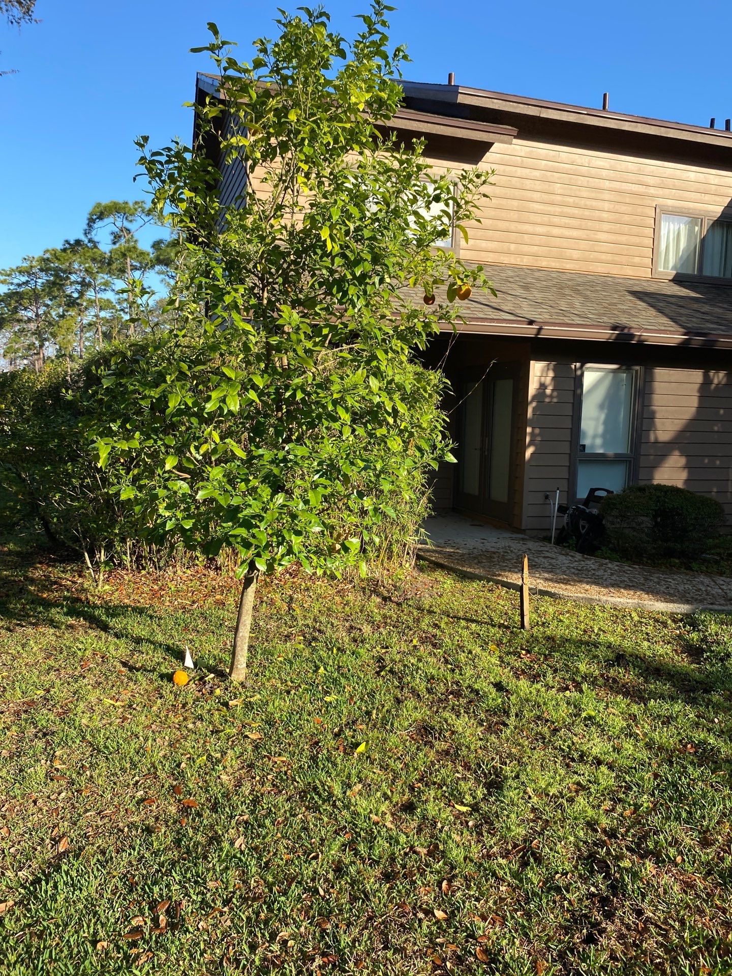 Deerwood Resident | Landscaping by ProGreen Services