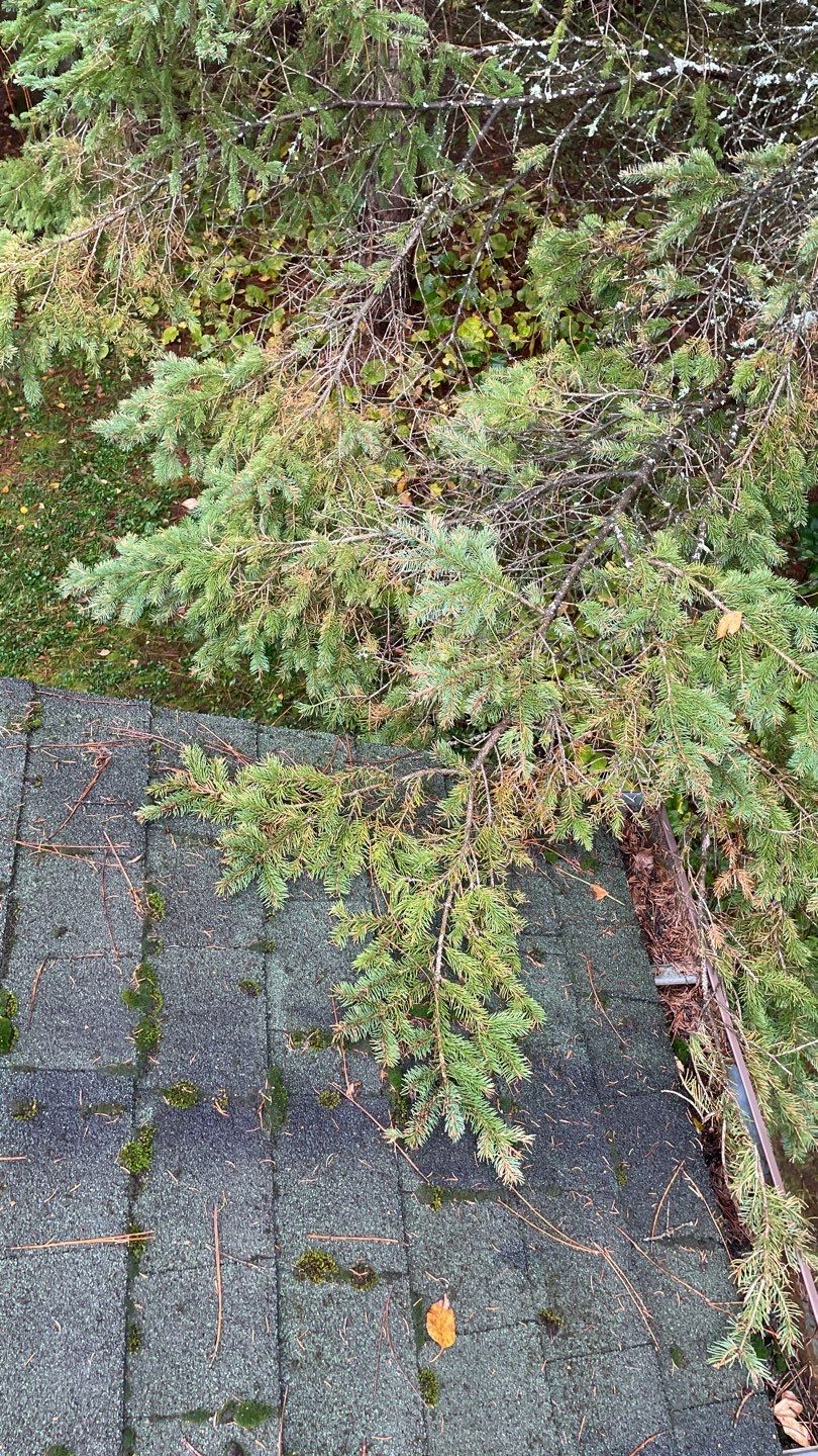 Rice Lake Township Roof Replacement by Rhino Roofing LLC