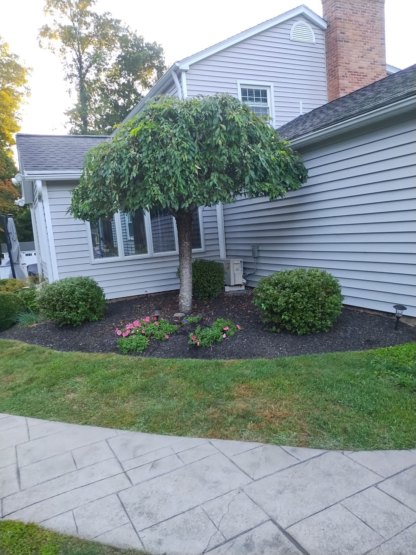 Newtown by All site builders LLC
