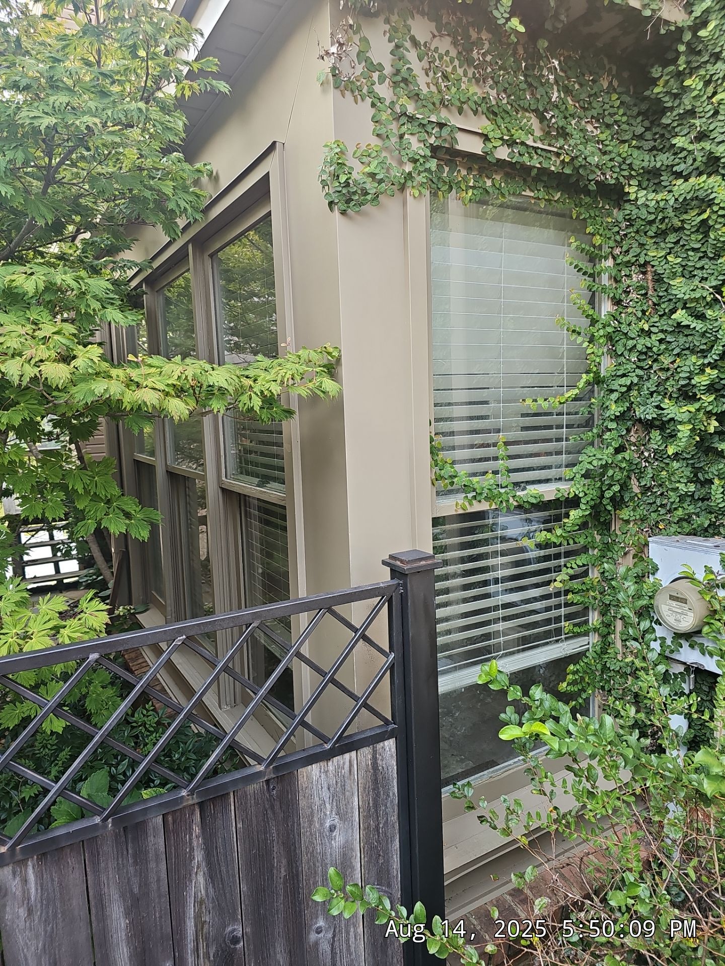 Wilson Project in Hoover by The Window Source