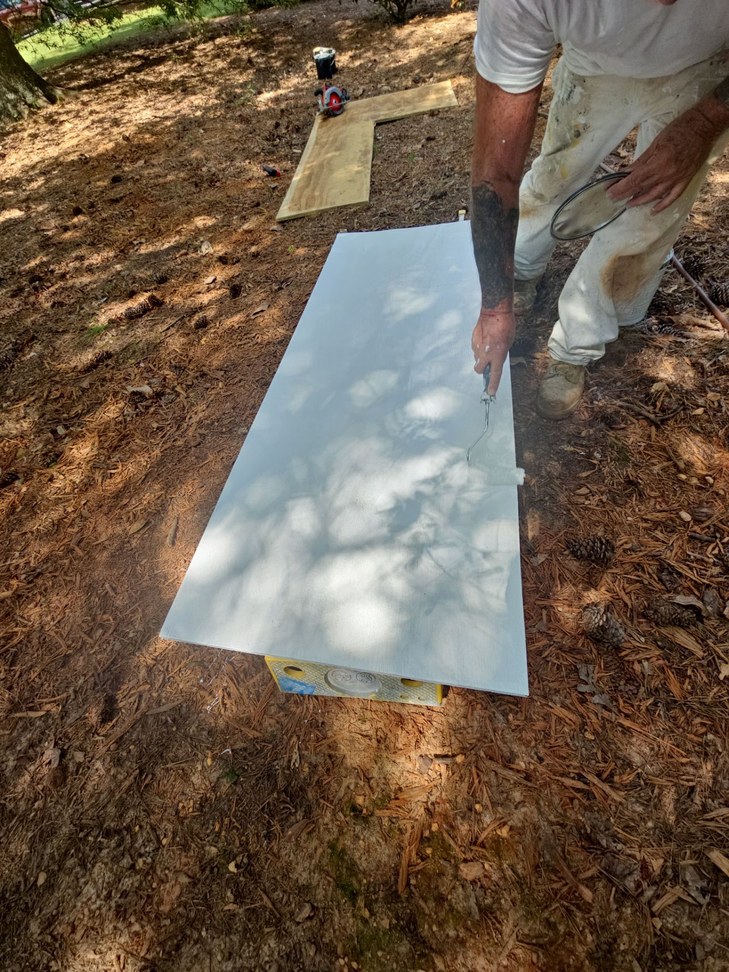 Exterior Transformation in Jonhs Creek by Atlanta's Paint Doctor