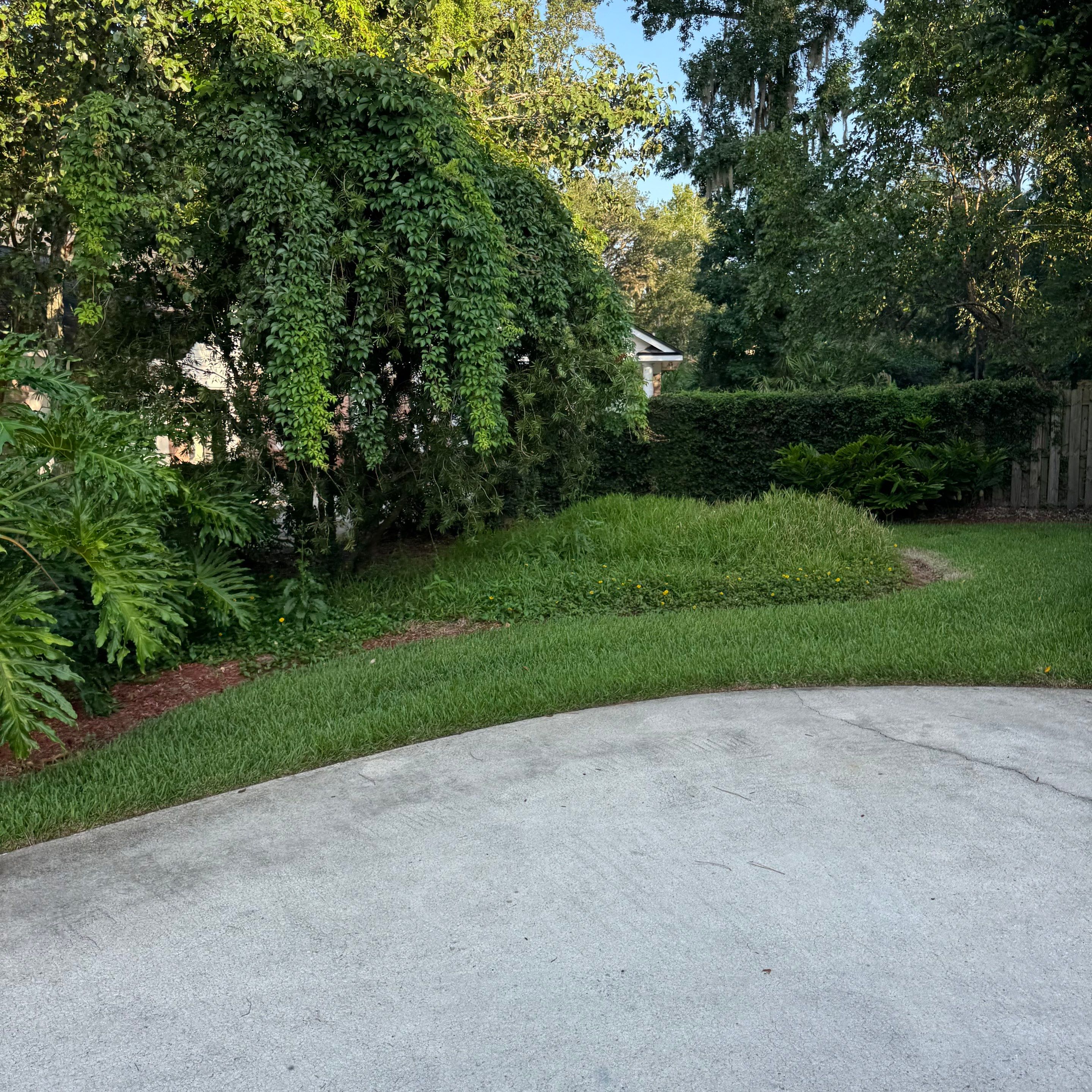 Deerwood Resident | Clean-Up by ProGreen Services