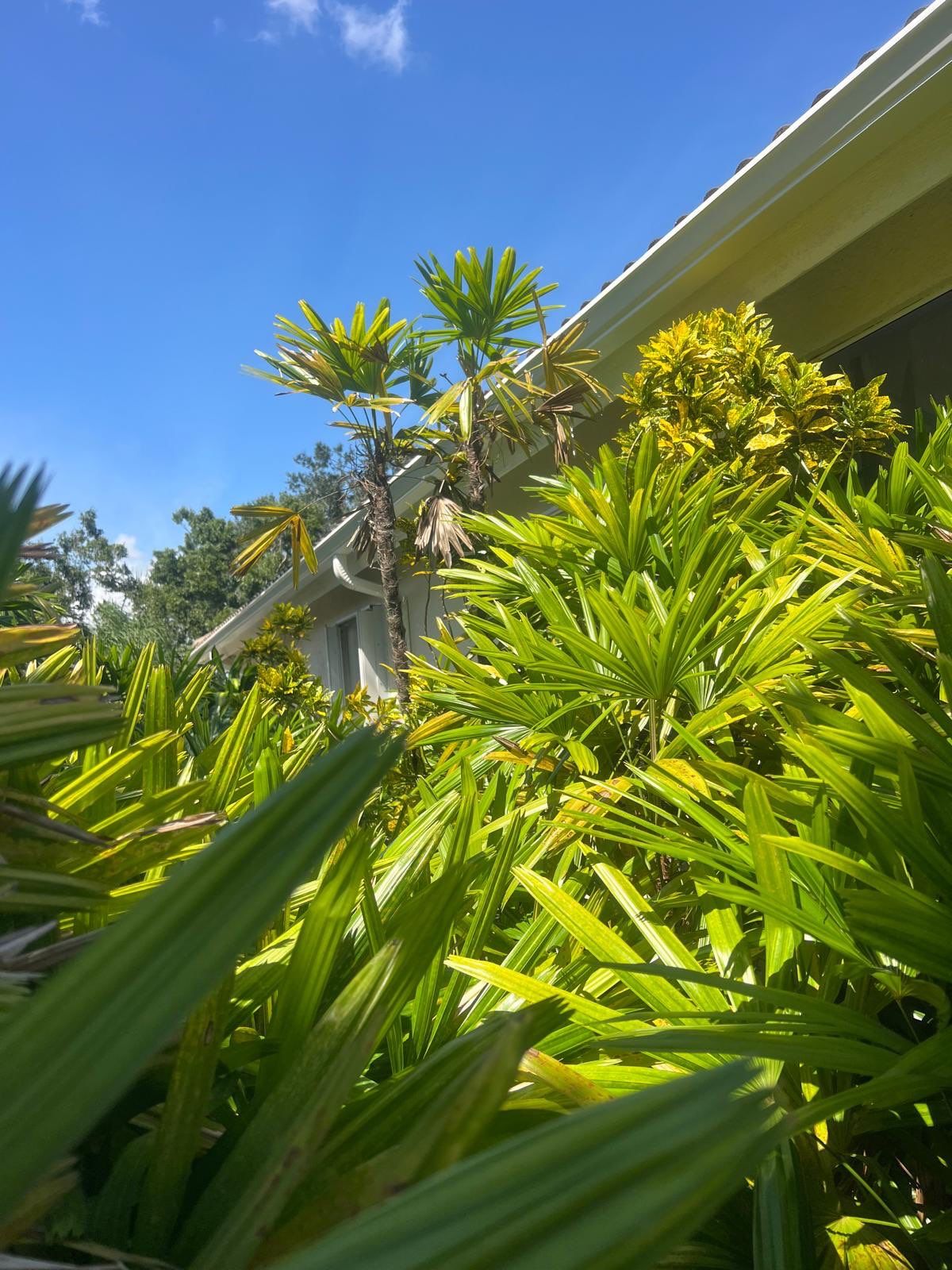 Downspout Installation in Sarasota FL by Gutter Professors