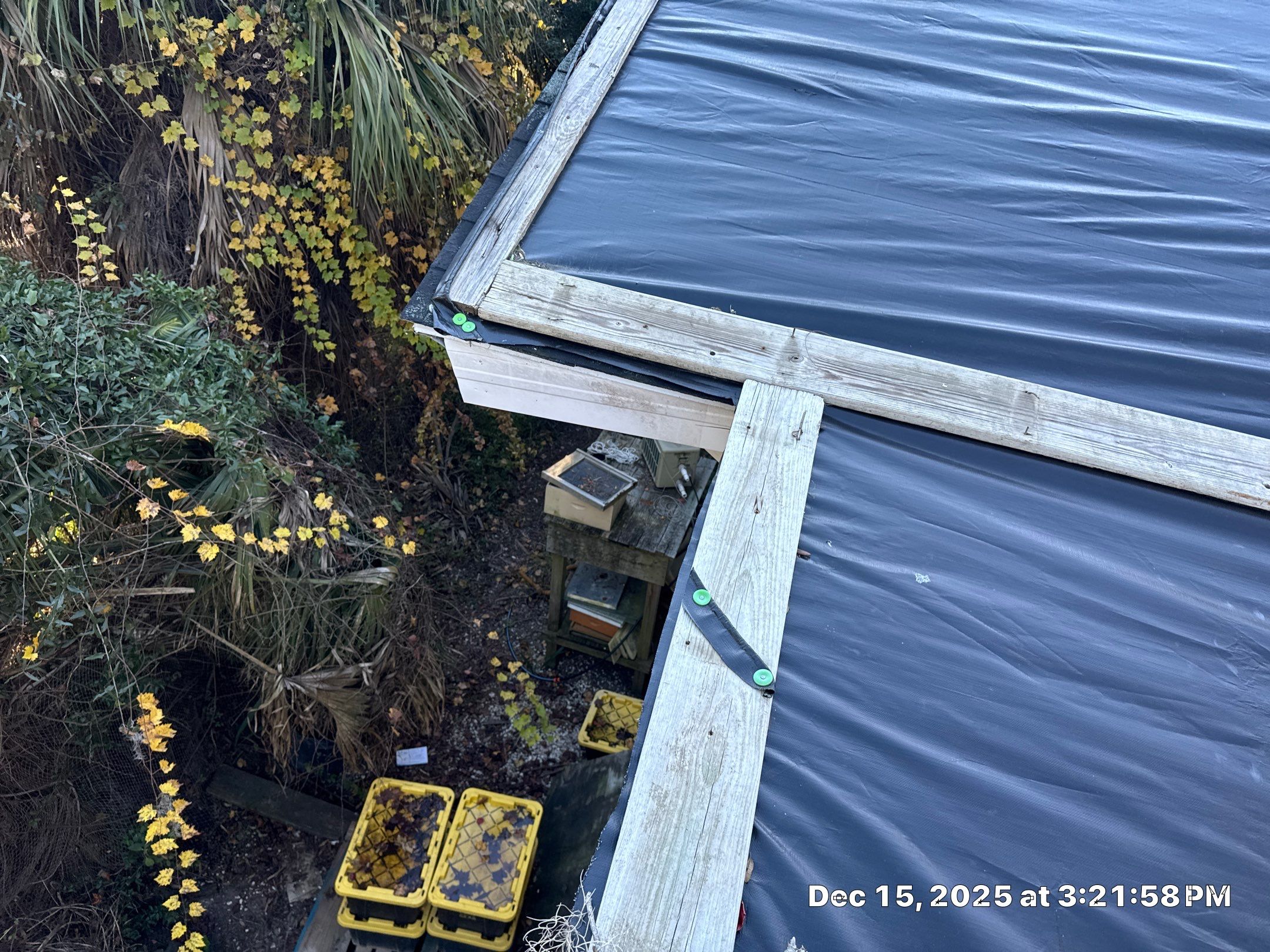 Tybee Island Atlas Pinnacle Pristine Morning Harvest Roof and redecking by Talya Roofing