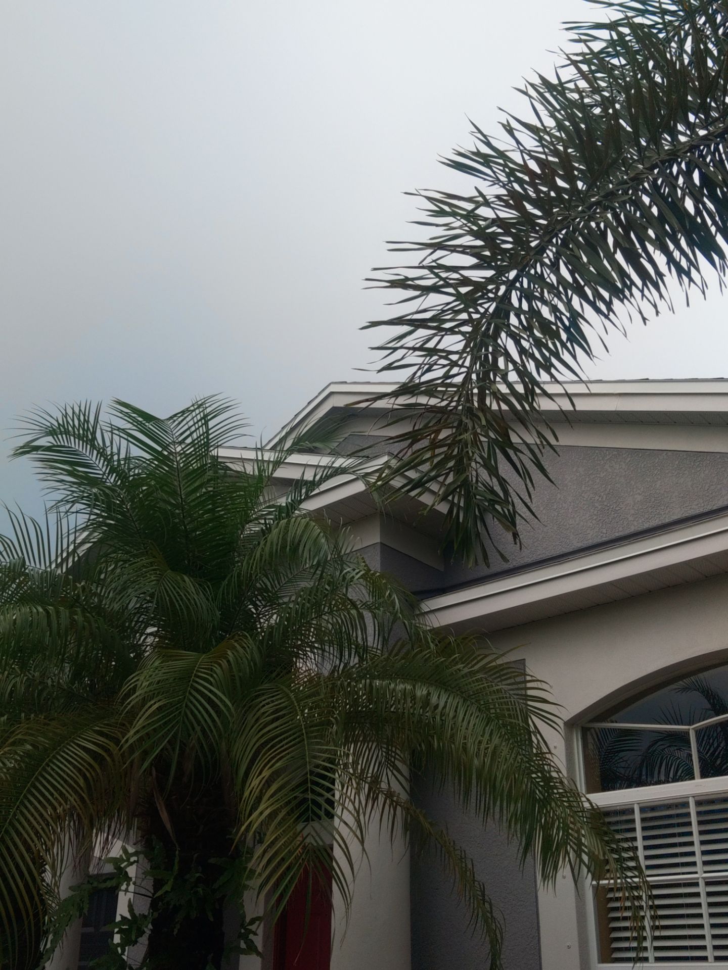 Residential Roofing Repair using Fascia in Parrish, FL by Gutter Professors
