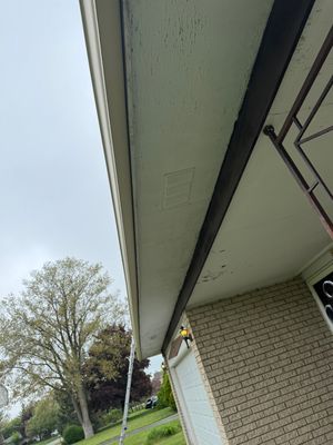 Project in Troy