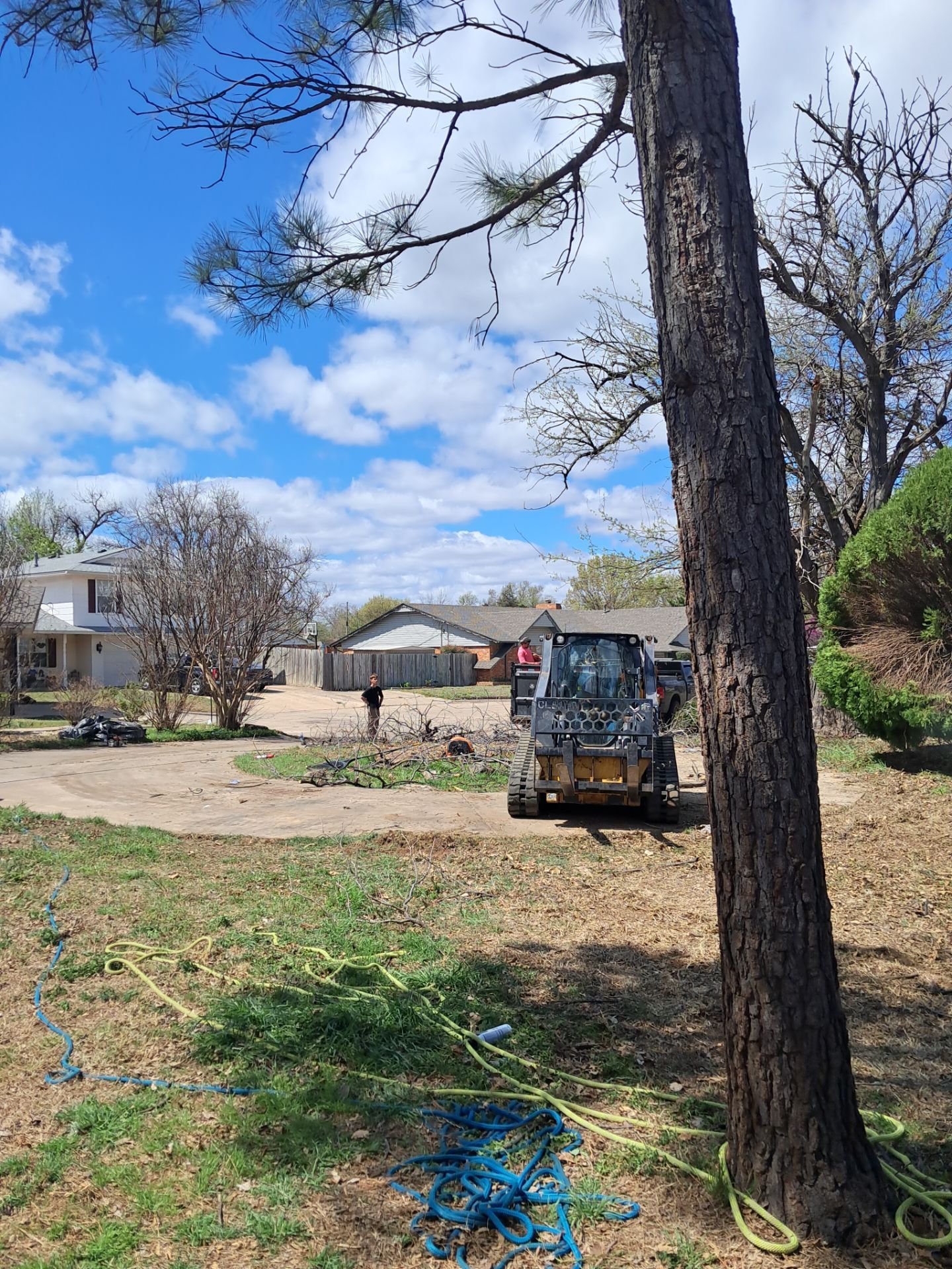 Tree Removal by Clays Services Inc