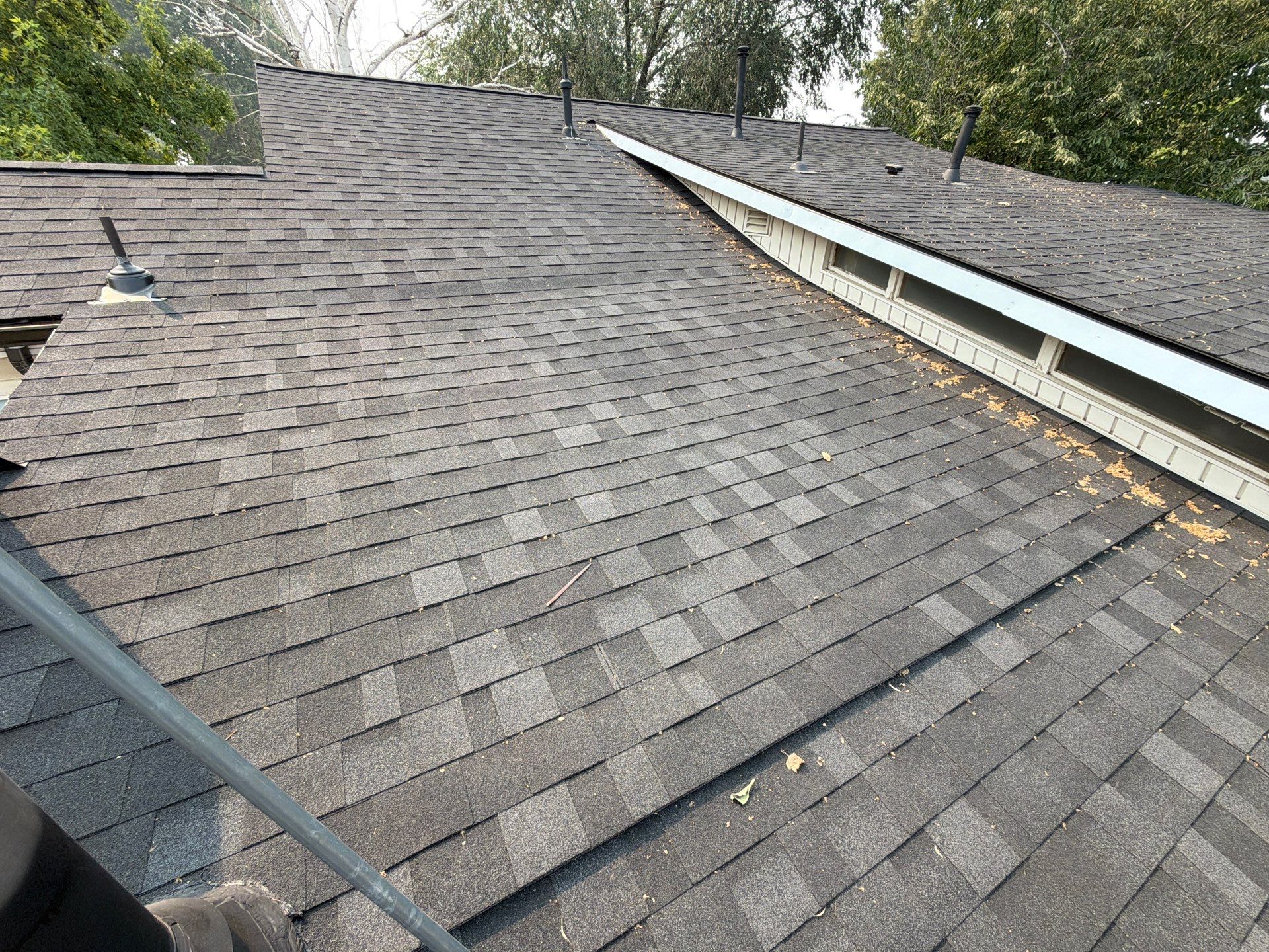 Parma Residential Roof Replacement with Gray Architectural Shingles by Olive Roofing