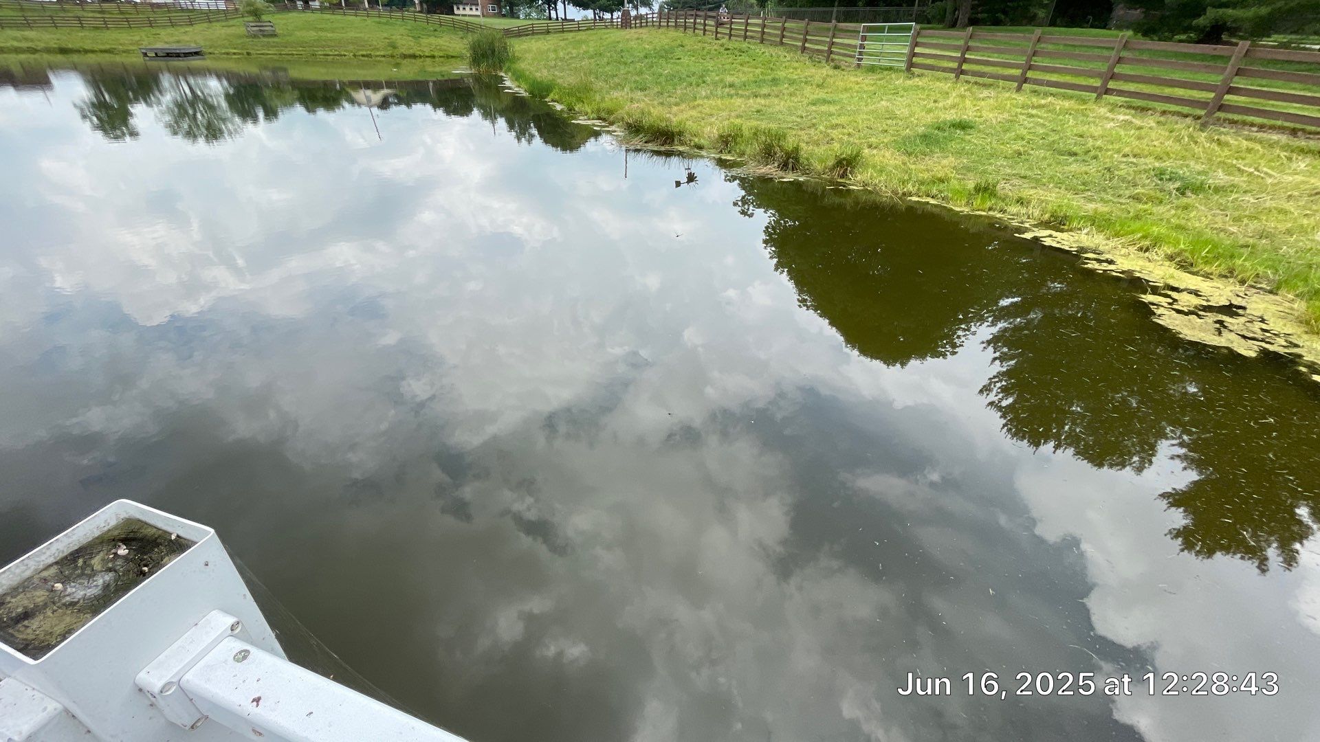 Maas Project by  Bellus Aquatic Solutions