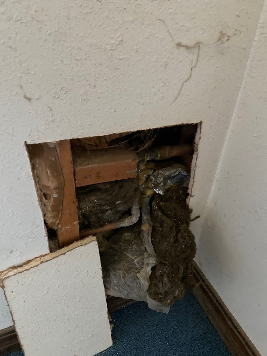 Project in El Reno by PRO-ROOTER