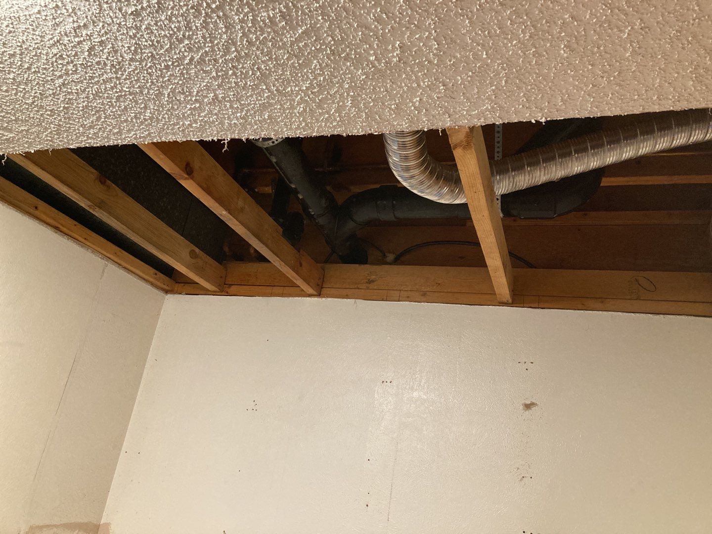 Mold Remediation using Containment by Accountable Home Services