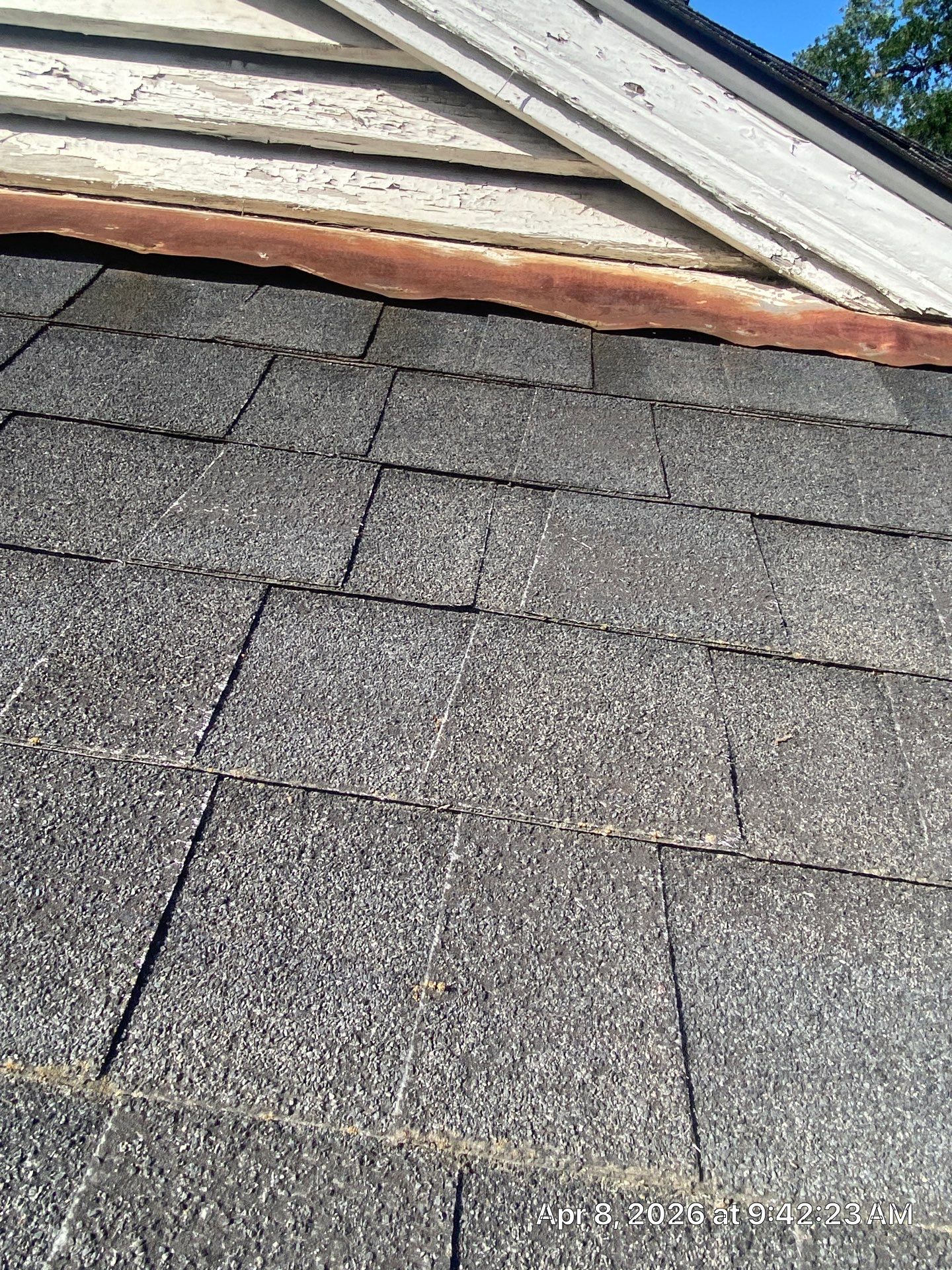 Roof Rejuvenation using Roof Maxx Treatment by Roof Maxx of Folsom