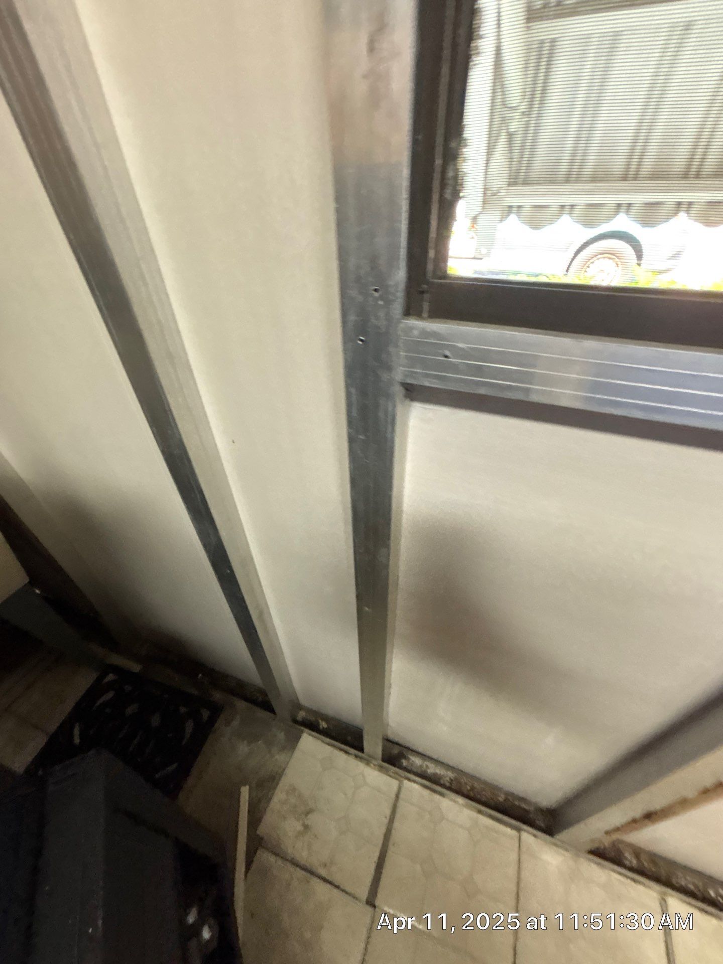 Mold Removal In Palmetto by Ampm Restoration Services