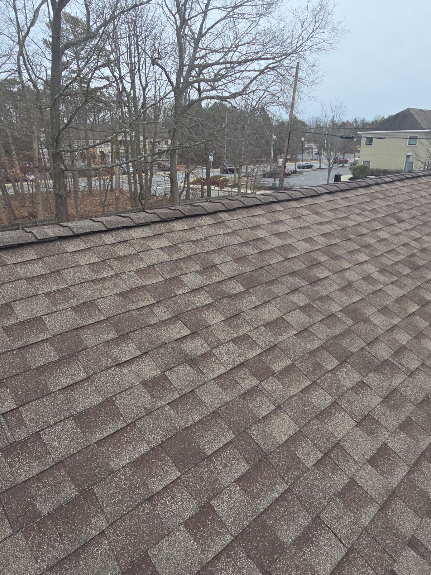 Pewter Gray Shingles by Reimagine Roofing