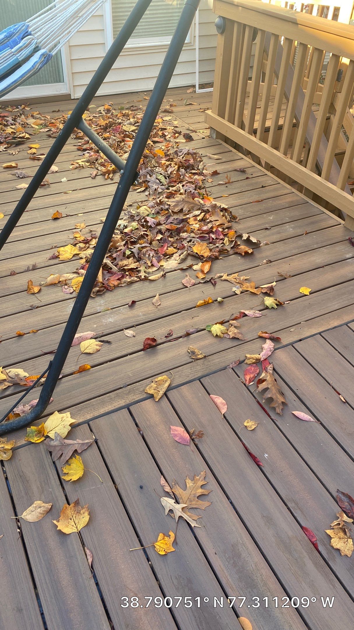 Burke: Multi-Trade Tree Damage Restoration by RM Banning, Inc.