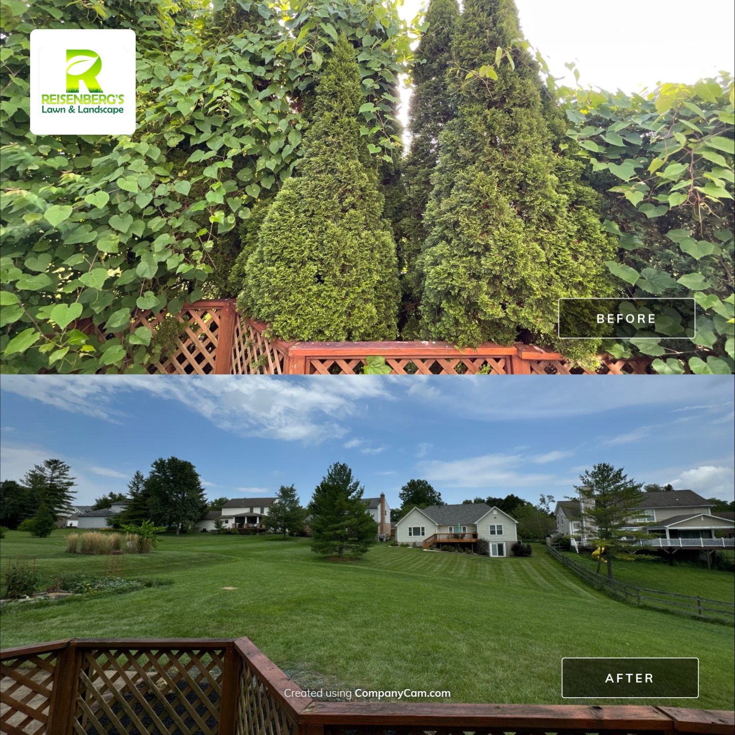 Complete Tear Out of Overgrown Landscape by Reisenberg’s Lawn & Landscape, LLC