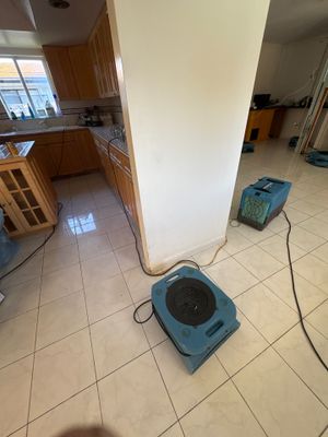Water Damage Near Me