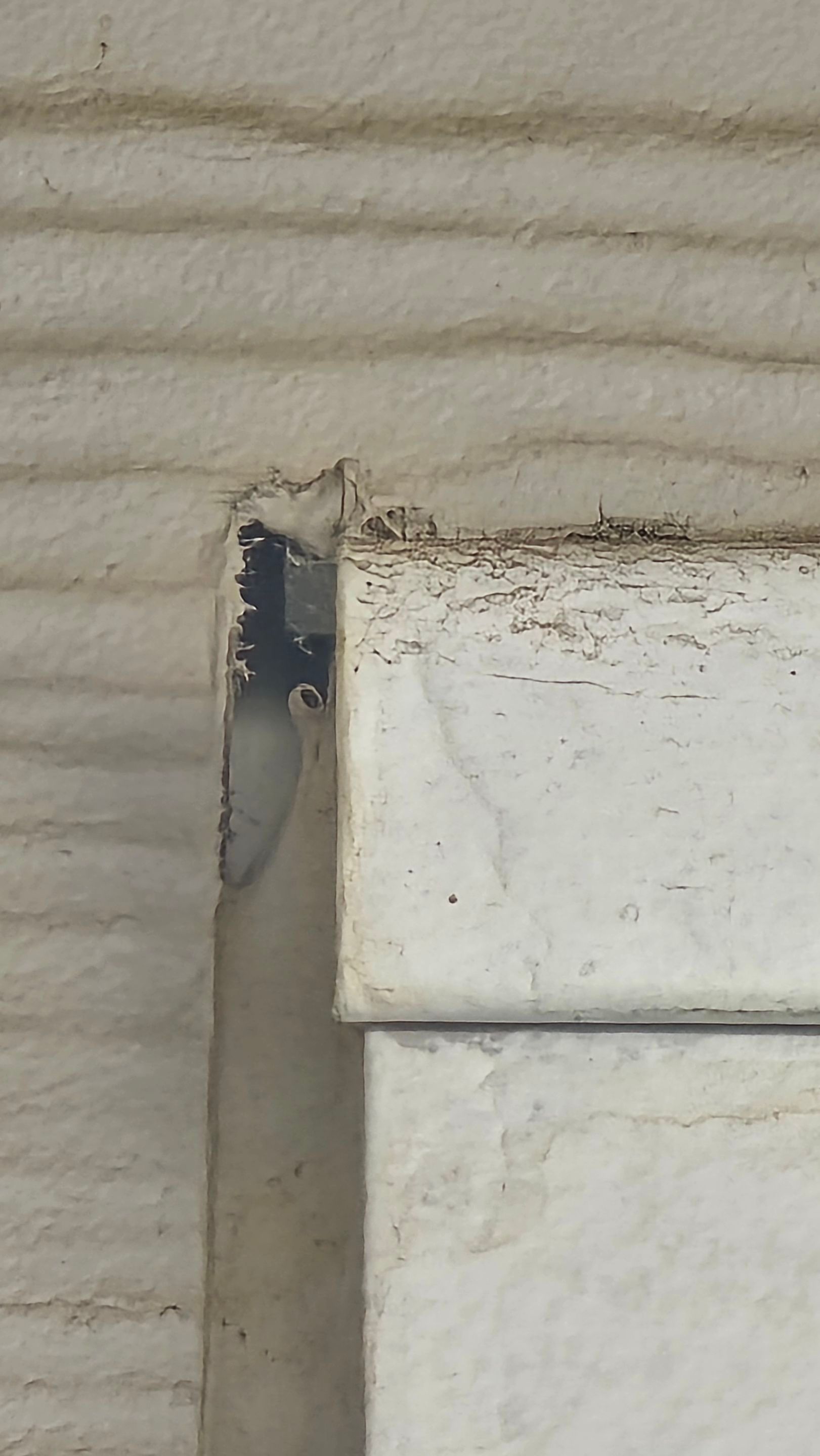 Roof/exterior inspection by ROOF REPAIR EXPERT LLC