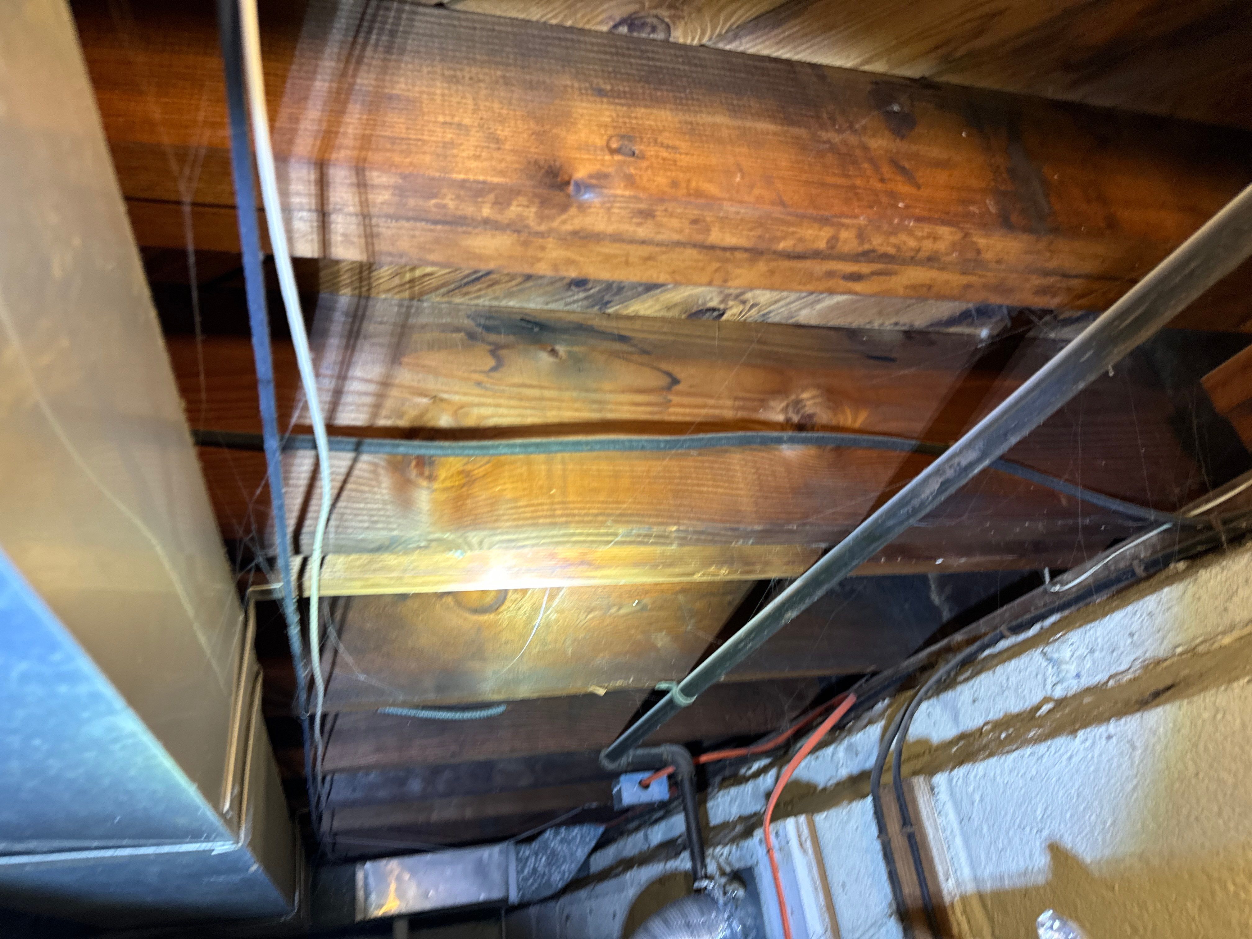Interior French Drain & Mold Remediation Little Falls NJ by Pure Service Pro, LLC 