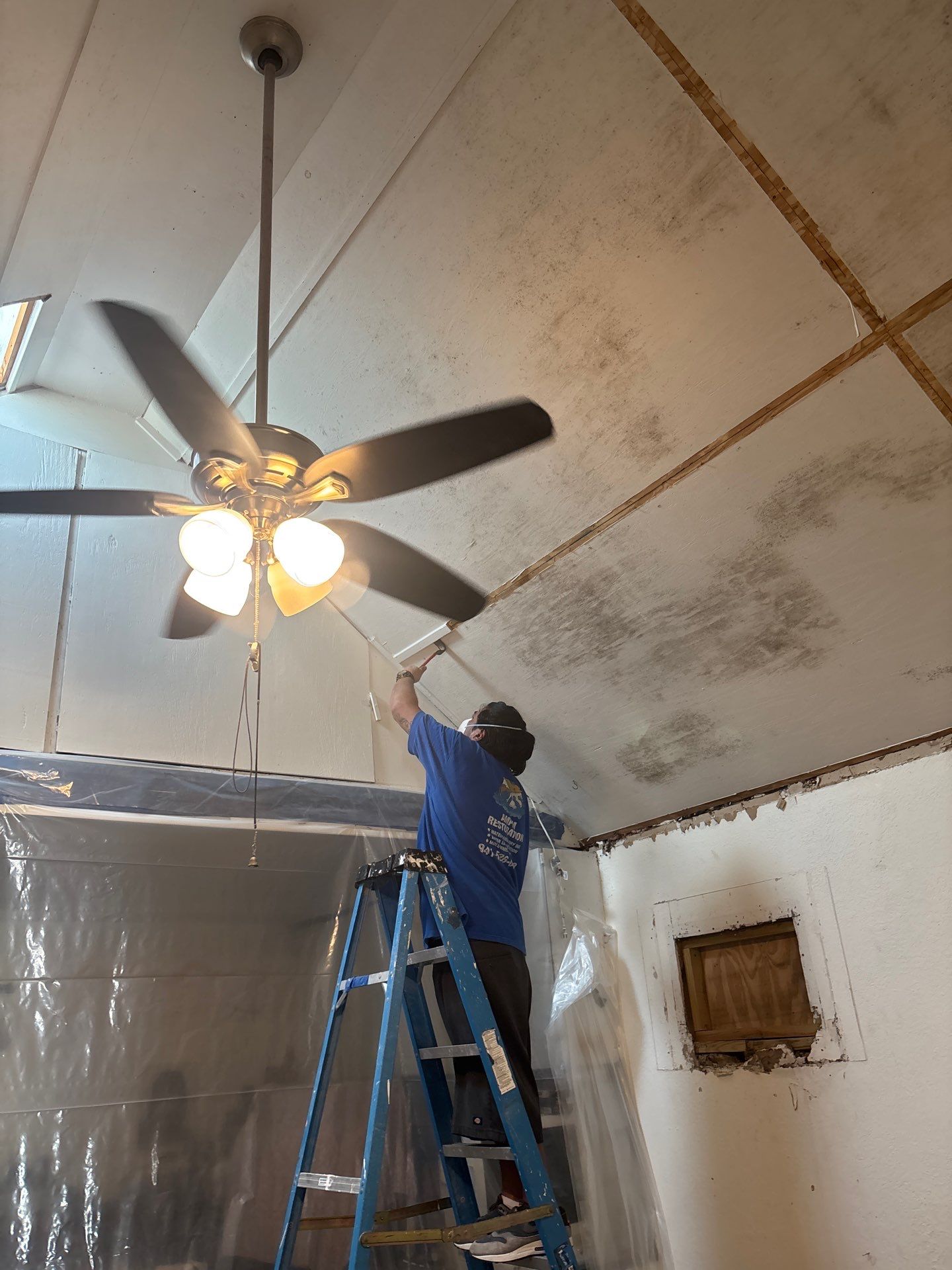 Mold Inspection & Remediation In Bradenton, FL by Ampm Restoration Services