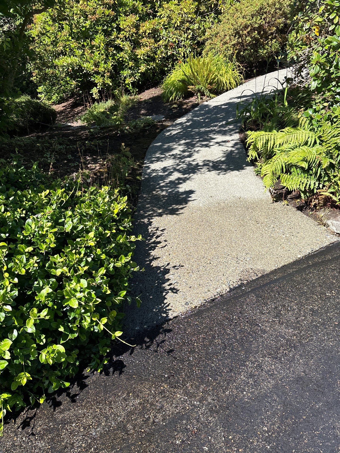 Driveway Sealcoat Repair | Woodinville  by Jireh Asphalt & Concrete Inc 
