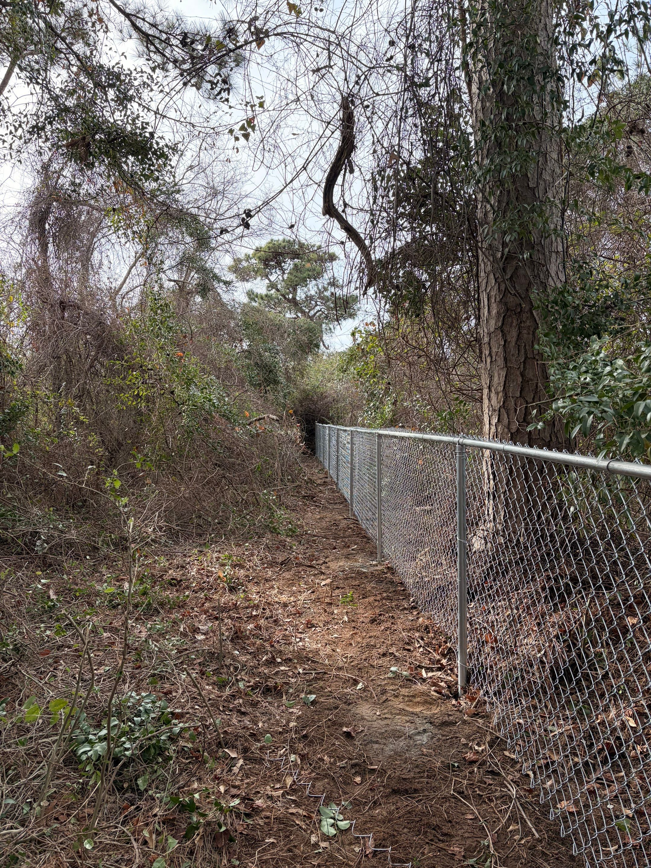 Freshly Installed Chain Link Fence by Tidewater Fence
