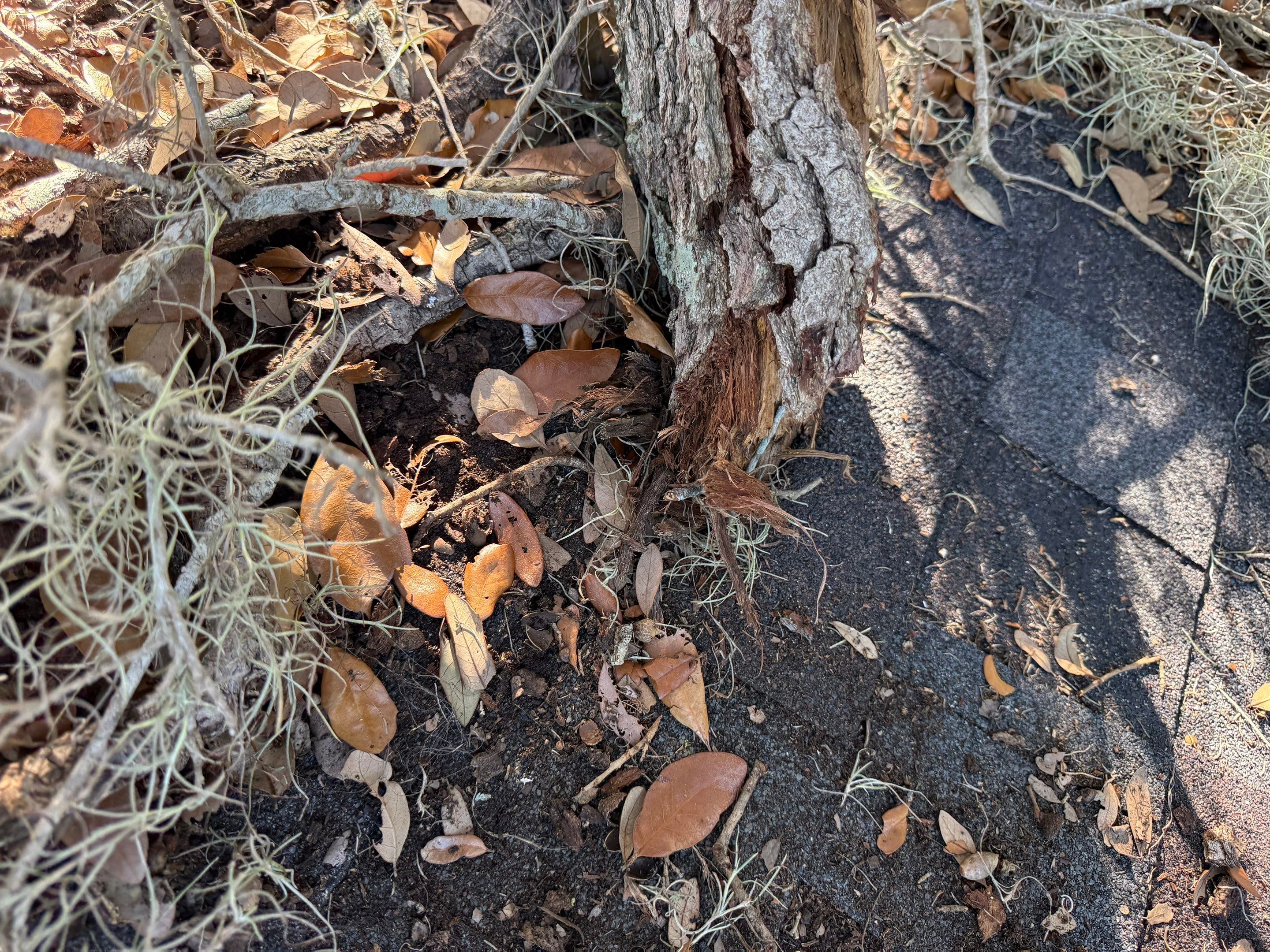 Project in Lakeland by You Restorations LLC DBA YOU-Home