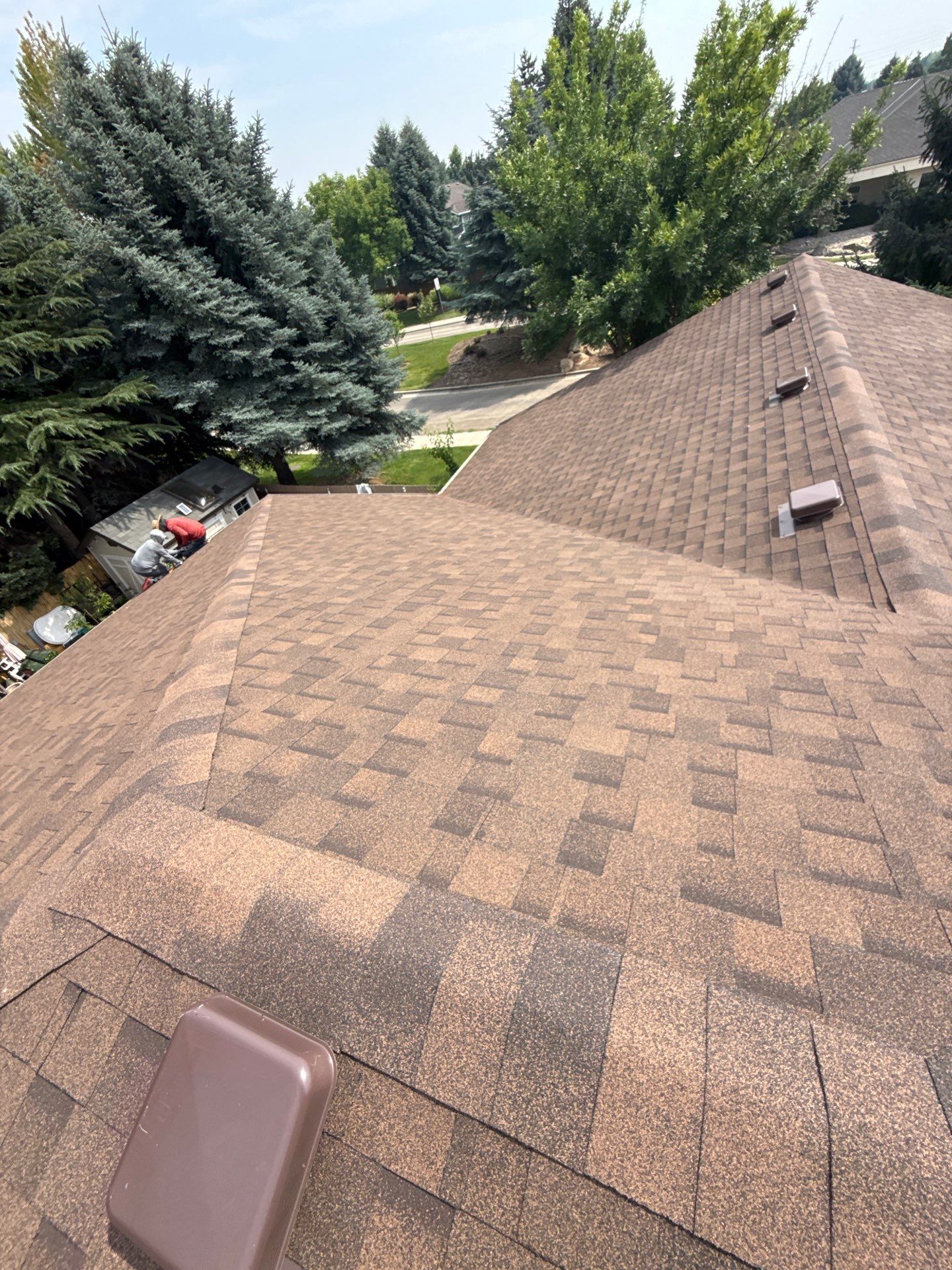 Boise Commercial Roof Replacement with Brown Architectural Shingles by Olive Roofing
