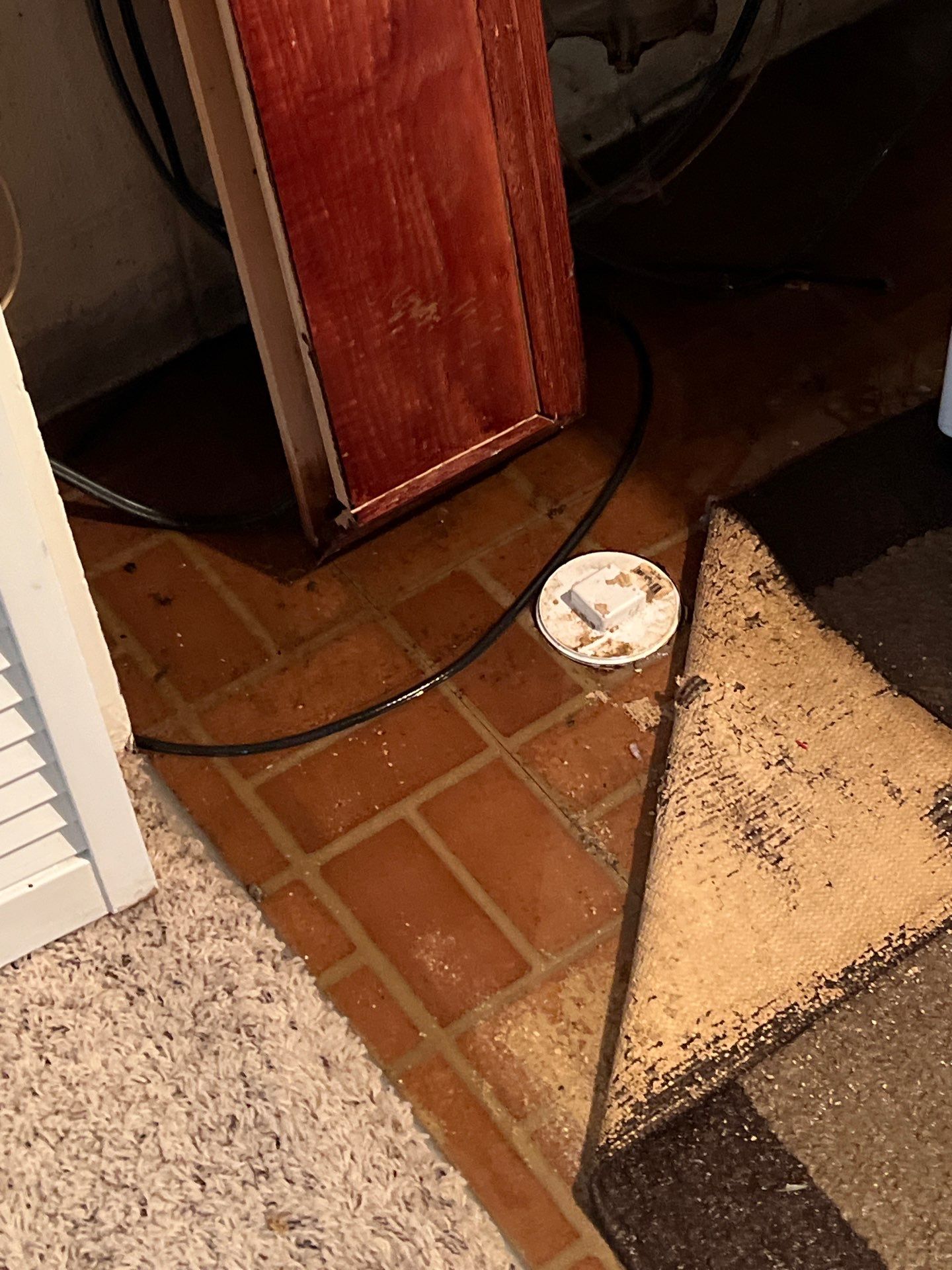 Project in Royal Oak by EzDry Water Mitigation & Property Restoration