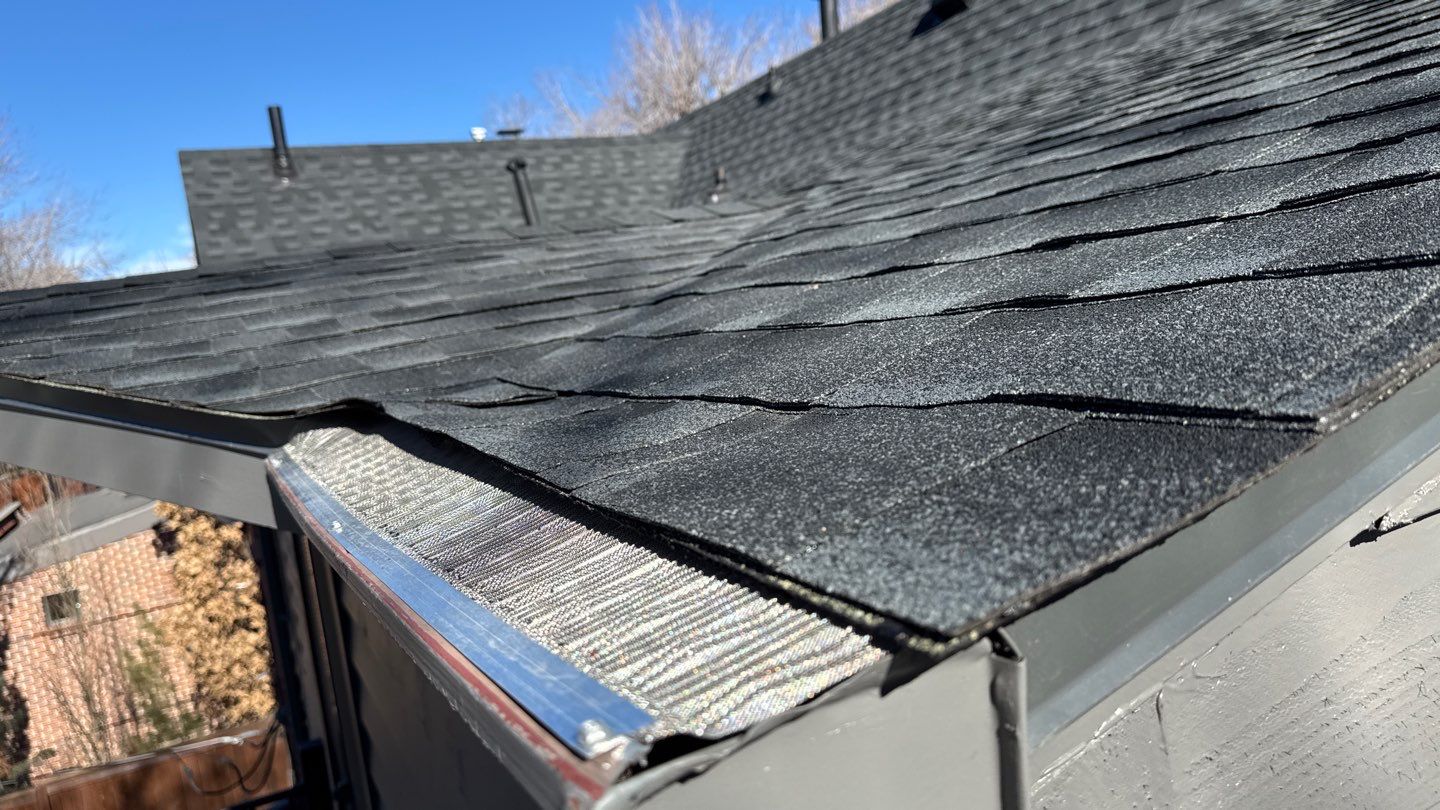 Old dog learns new tricks! by Modern Roofing Group