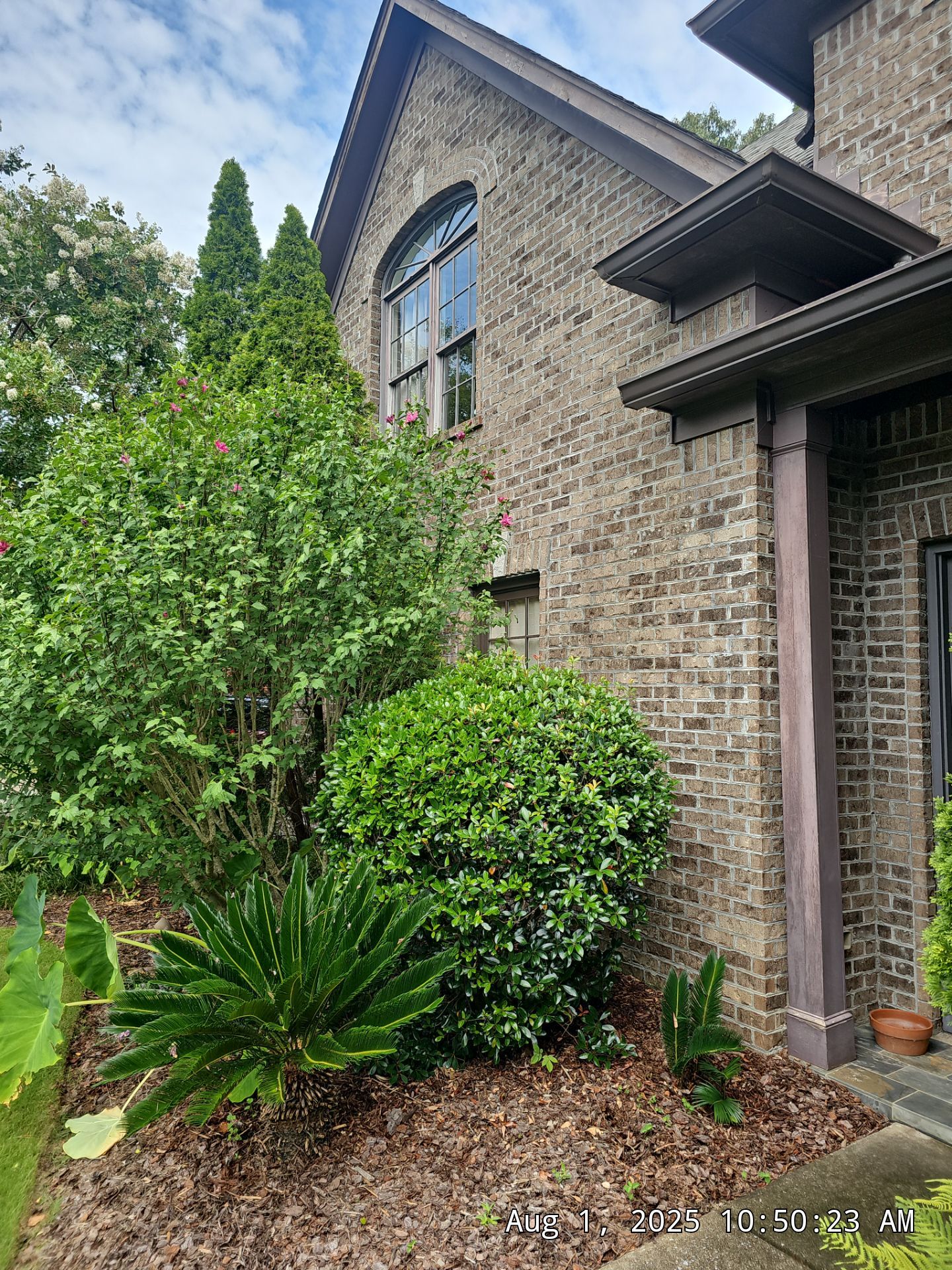 Lewis Project in Hoover by The Window Source