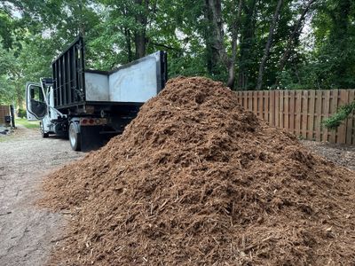 Project in Charlotte